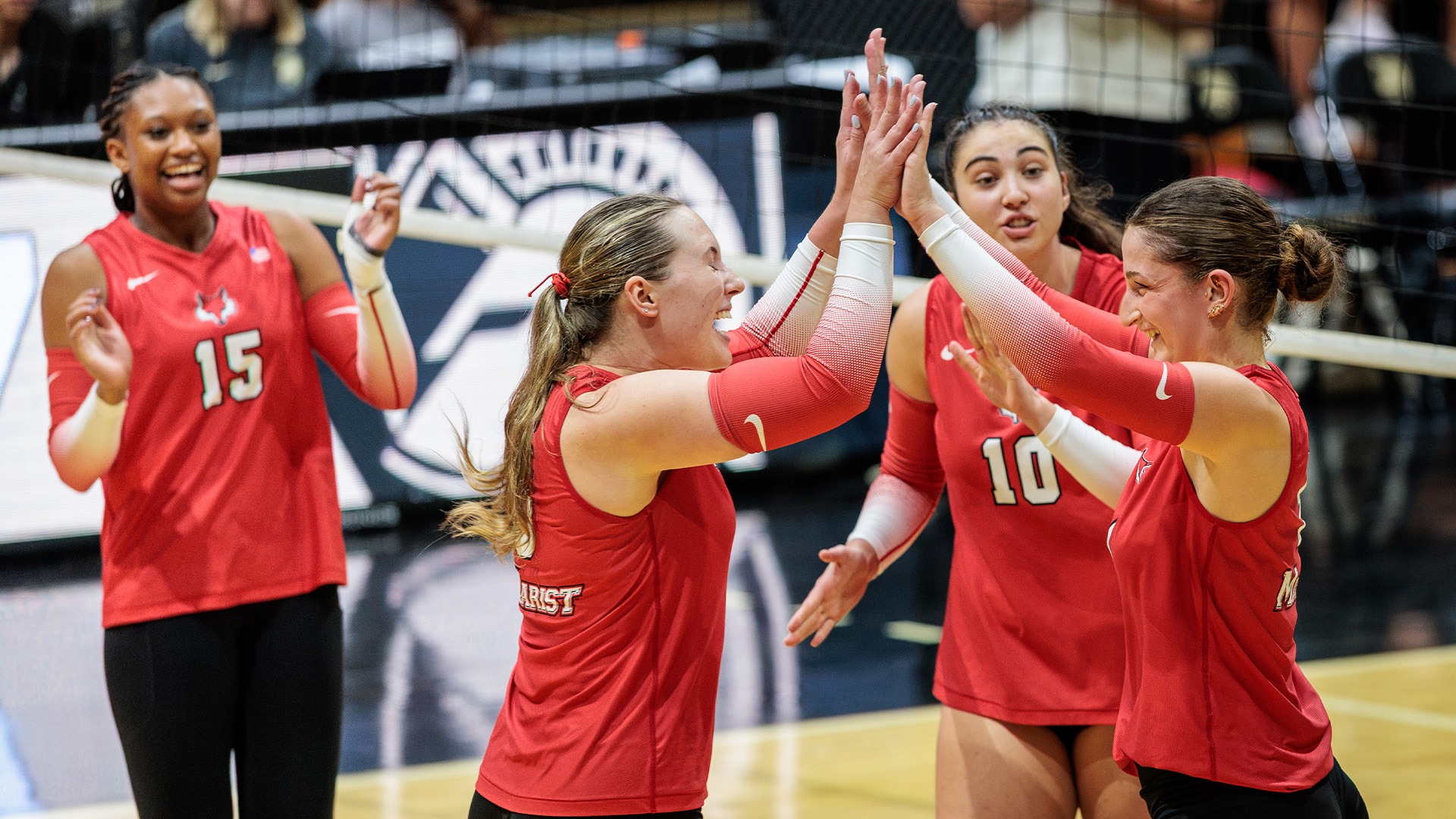 Volleyball - Celebration