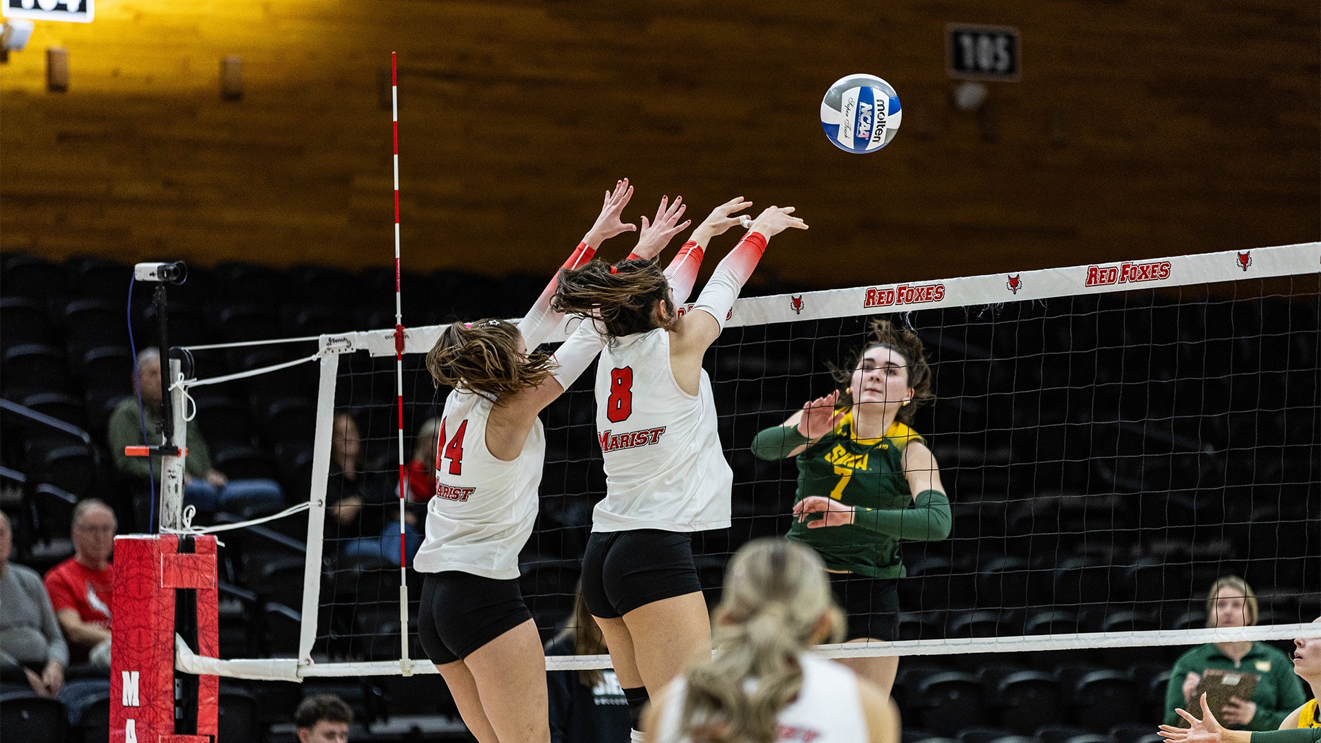 Volleyball - Reck and Malone Action Shot