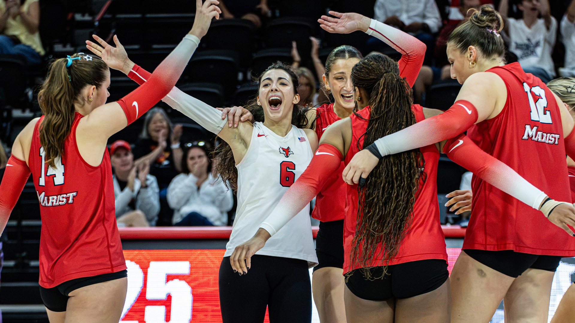 Volleyball - Celebration