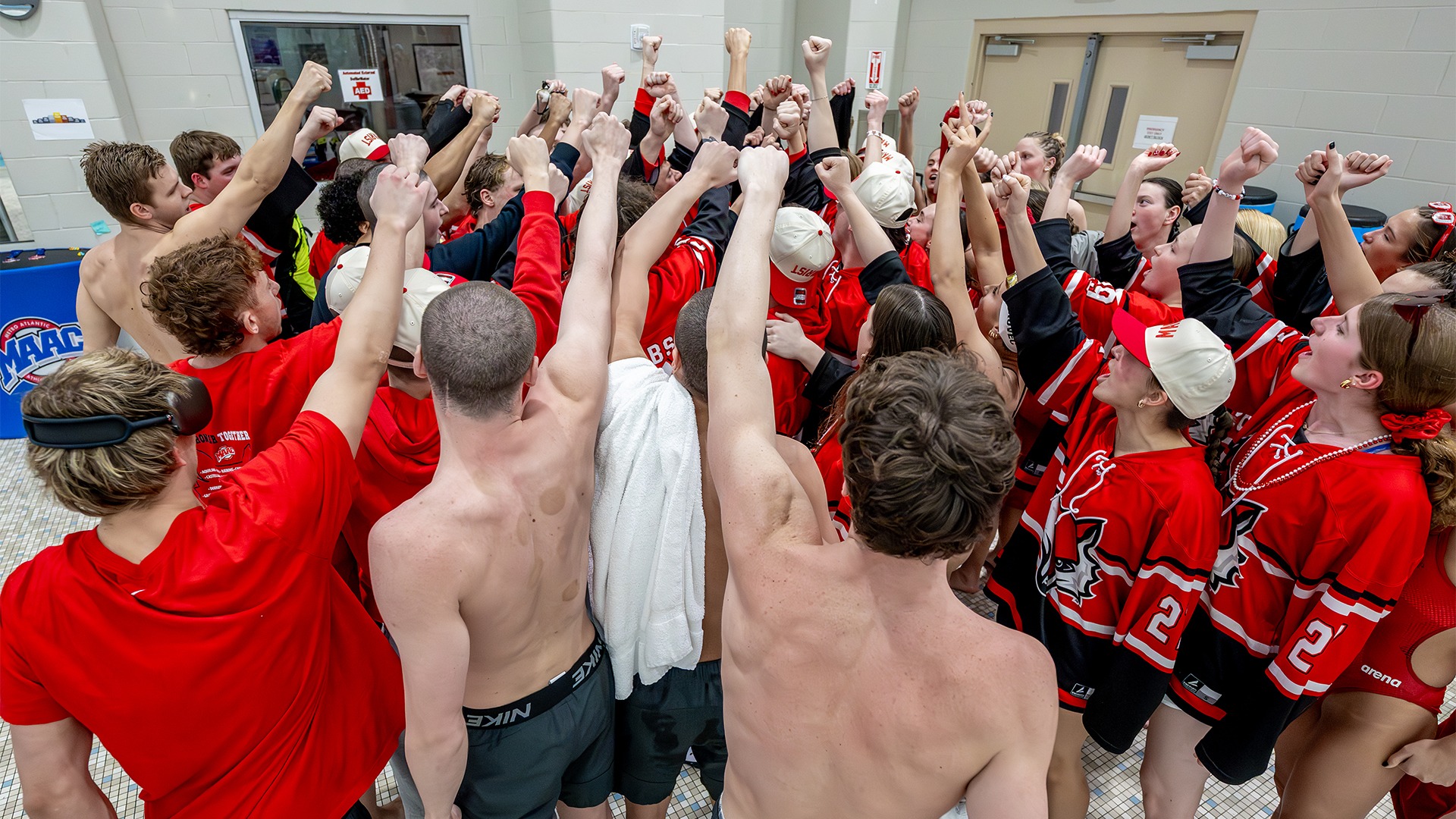 Swim and Dive - Celebration