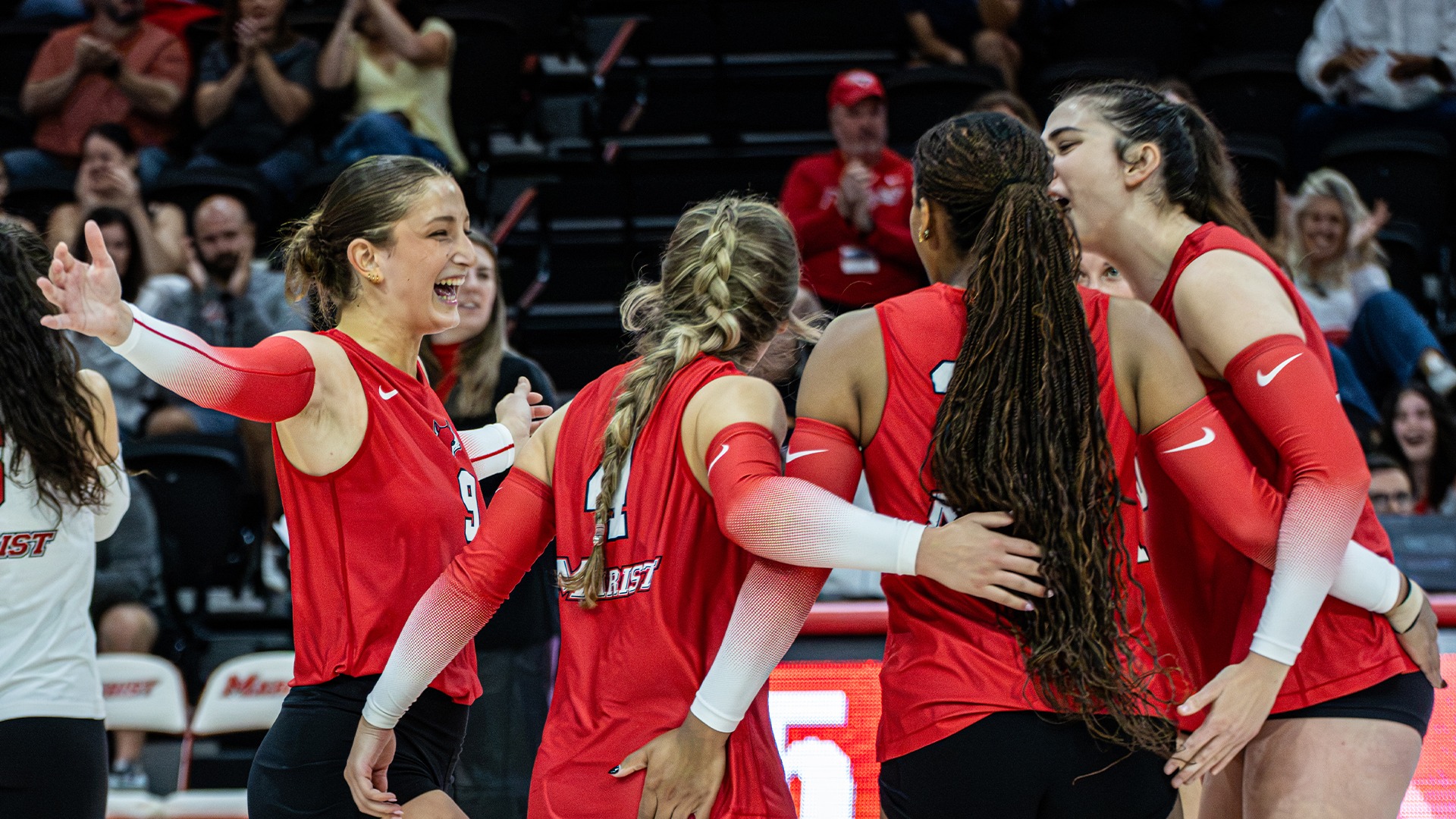 Volleyball - Celebration