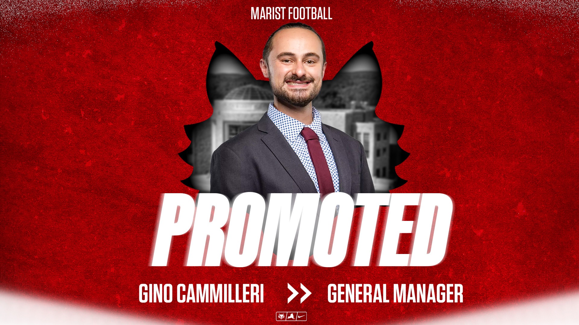 Gino promotion