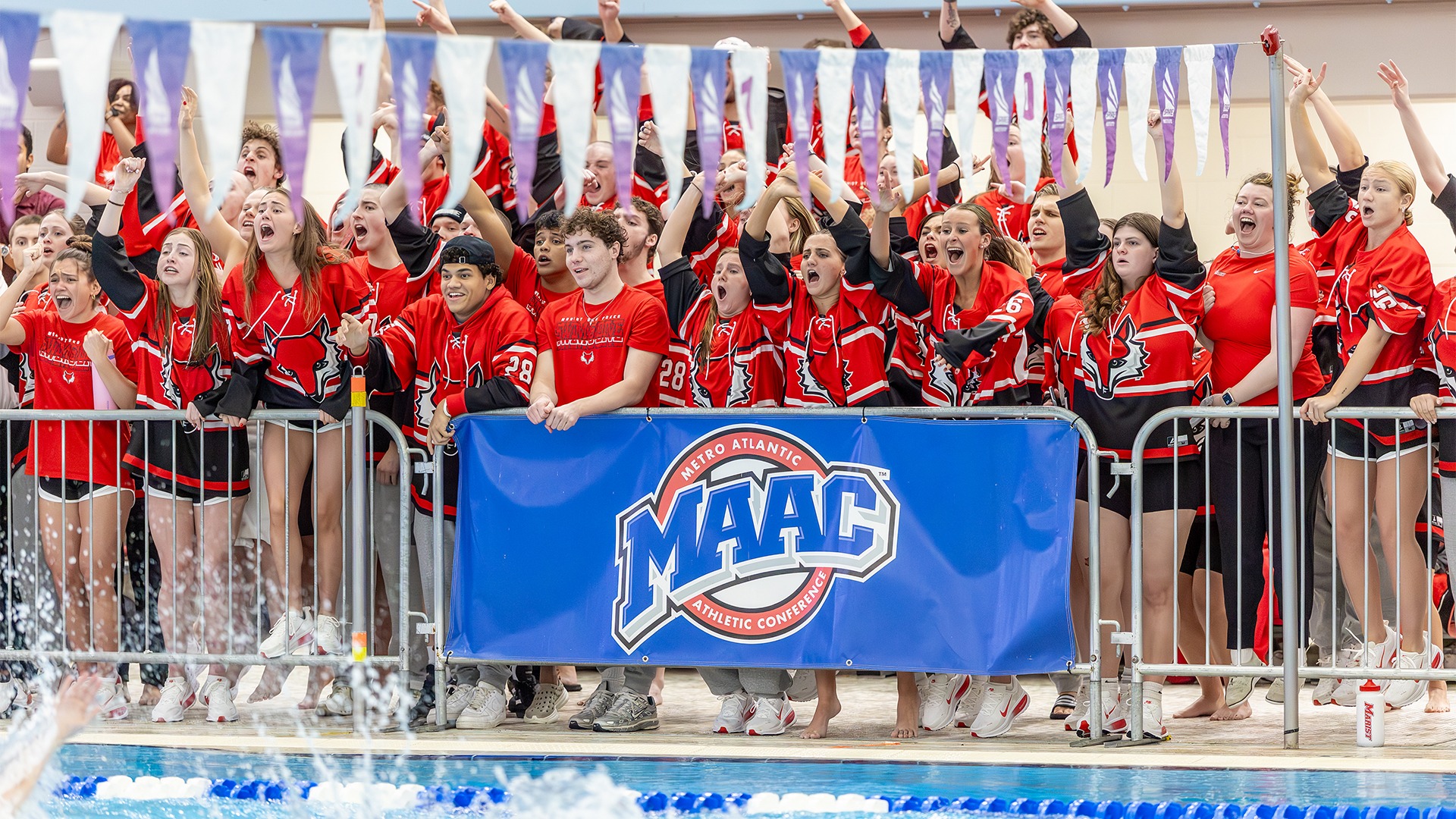 Swim and Dive - Team