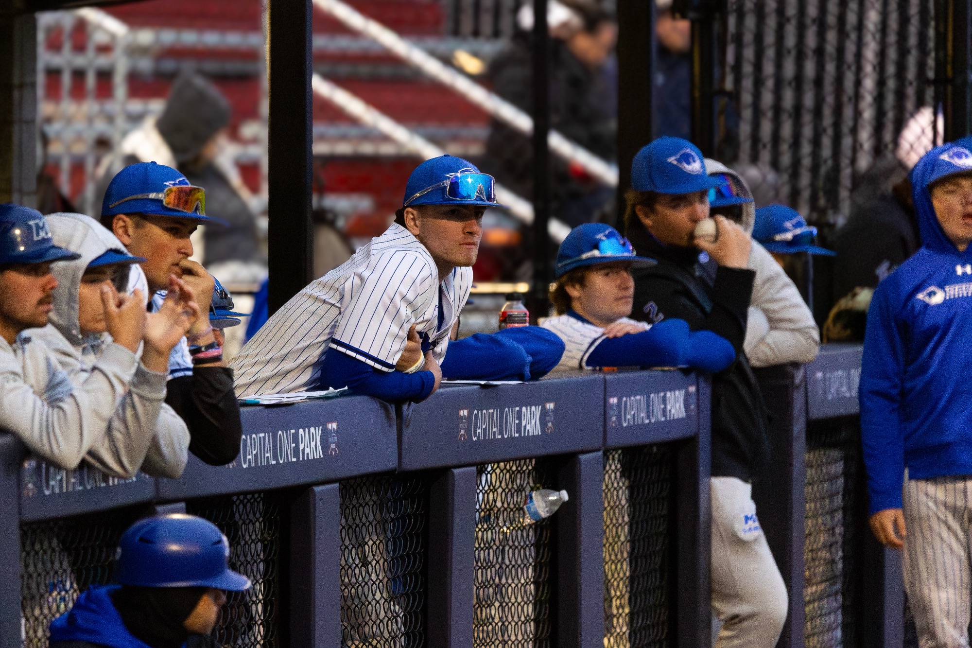 Photo by Leah Hartsock