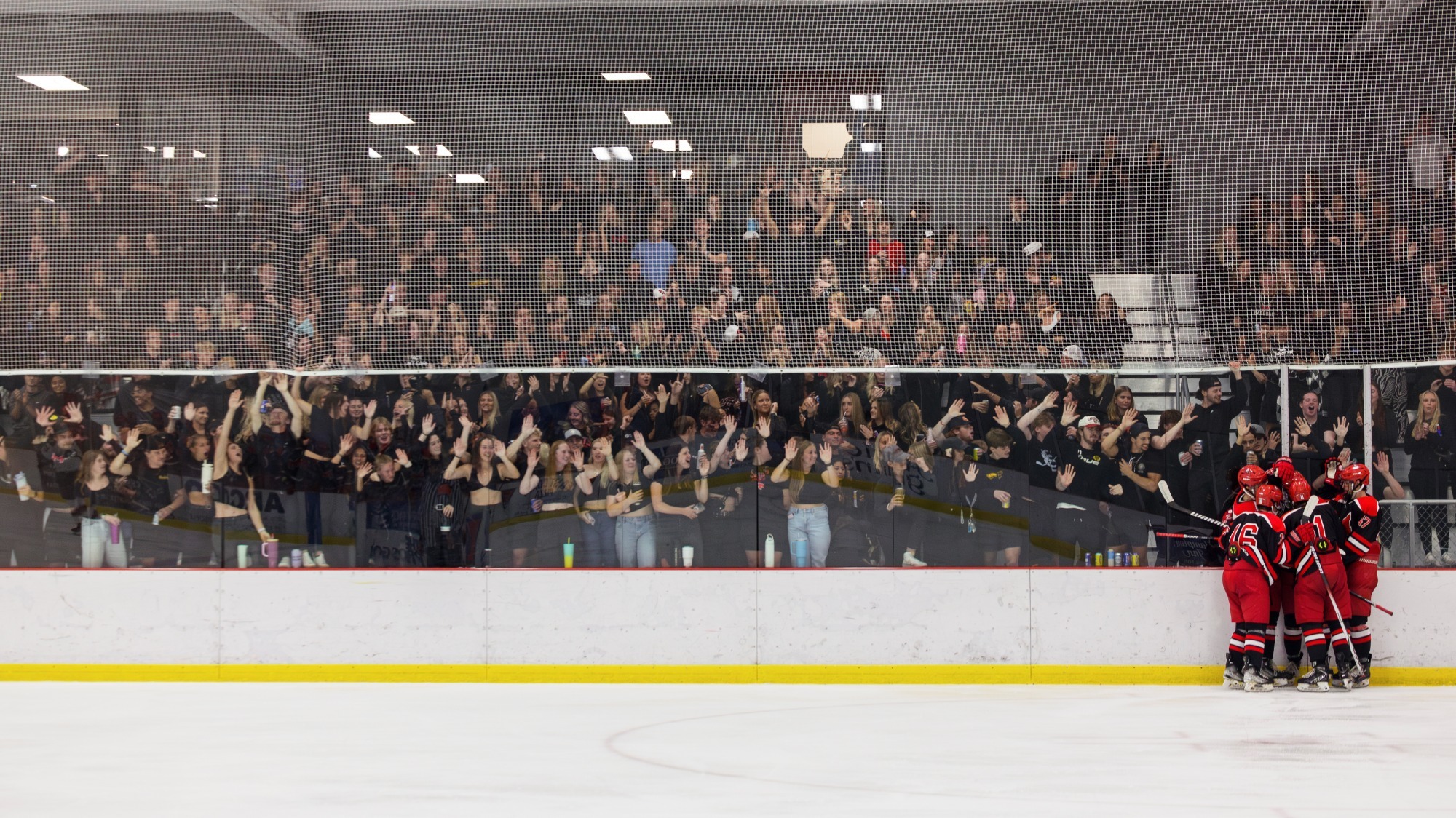 Maryville to Assist ACHA National Championships in 2025, 2027, and 2028 Maryville University