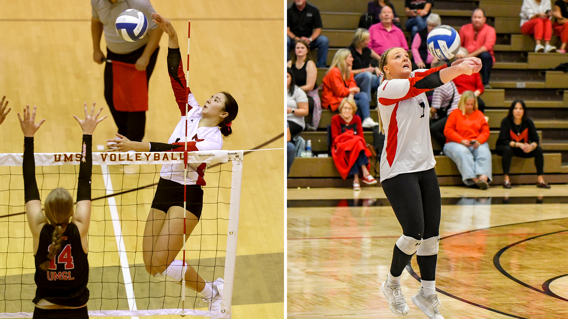 2025 All-GLVC Volleyball Team