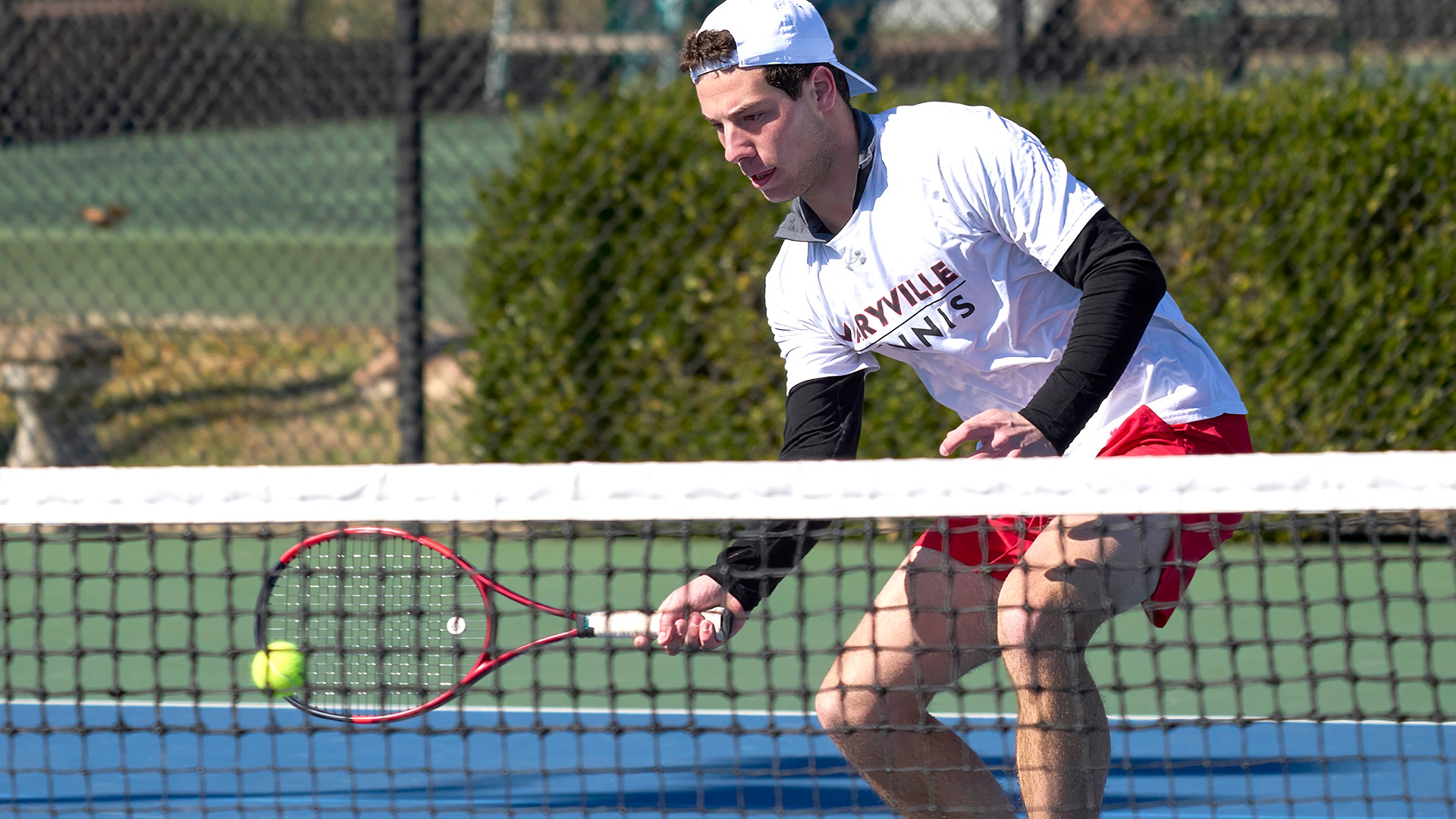 Lorenzo Biava volley vs Walsh 2025