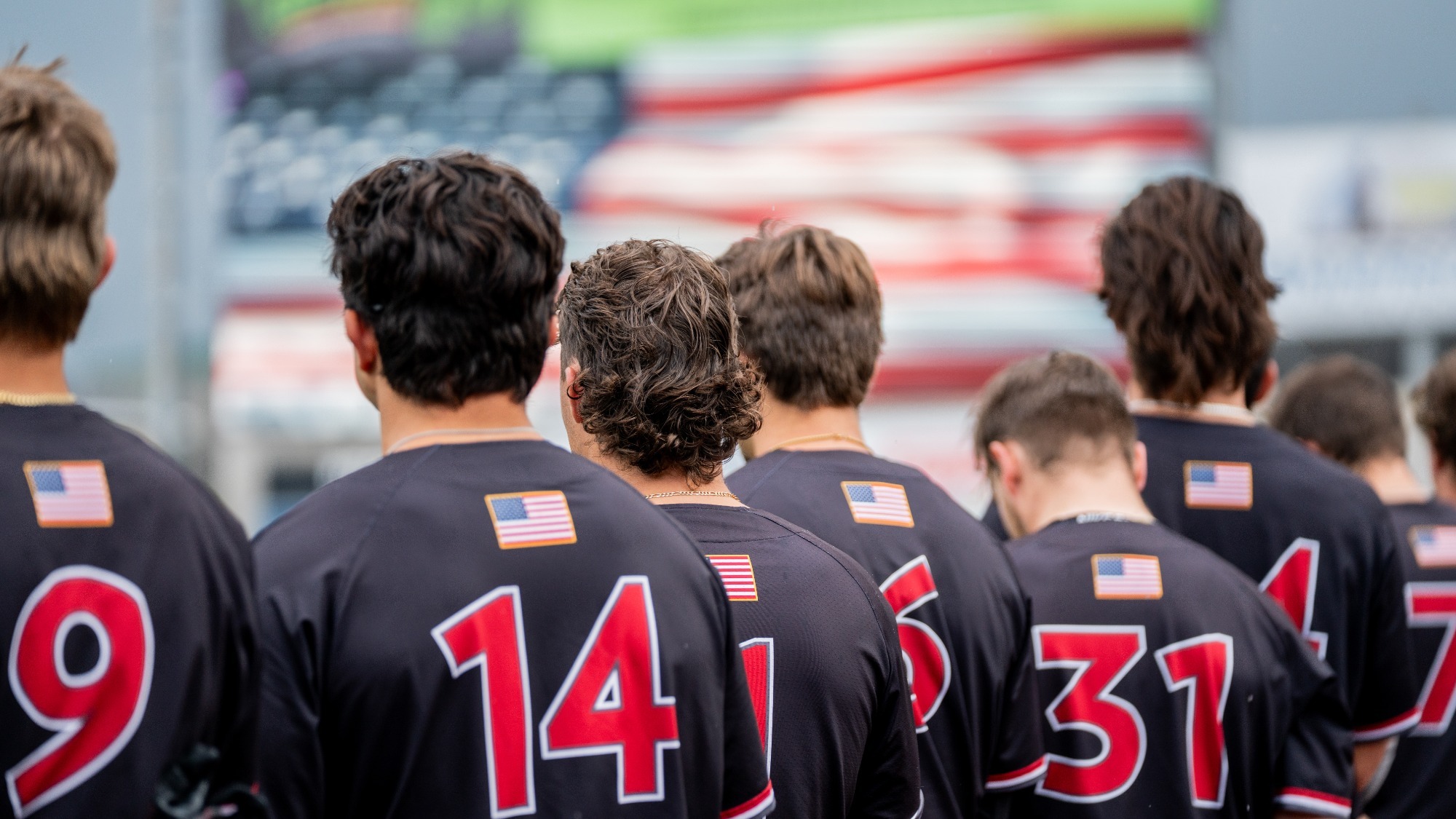 Baseball at GLVC Tournament