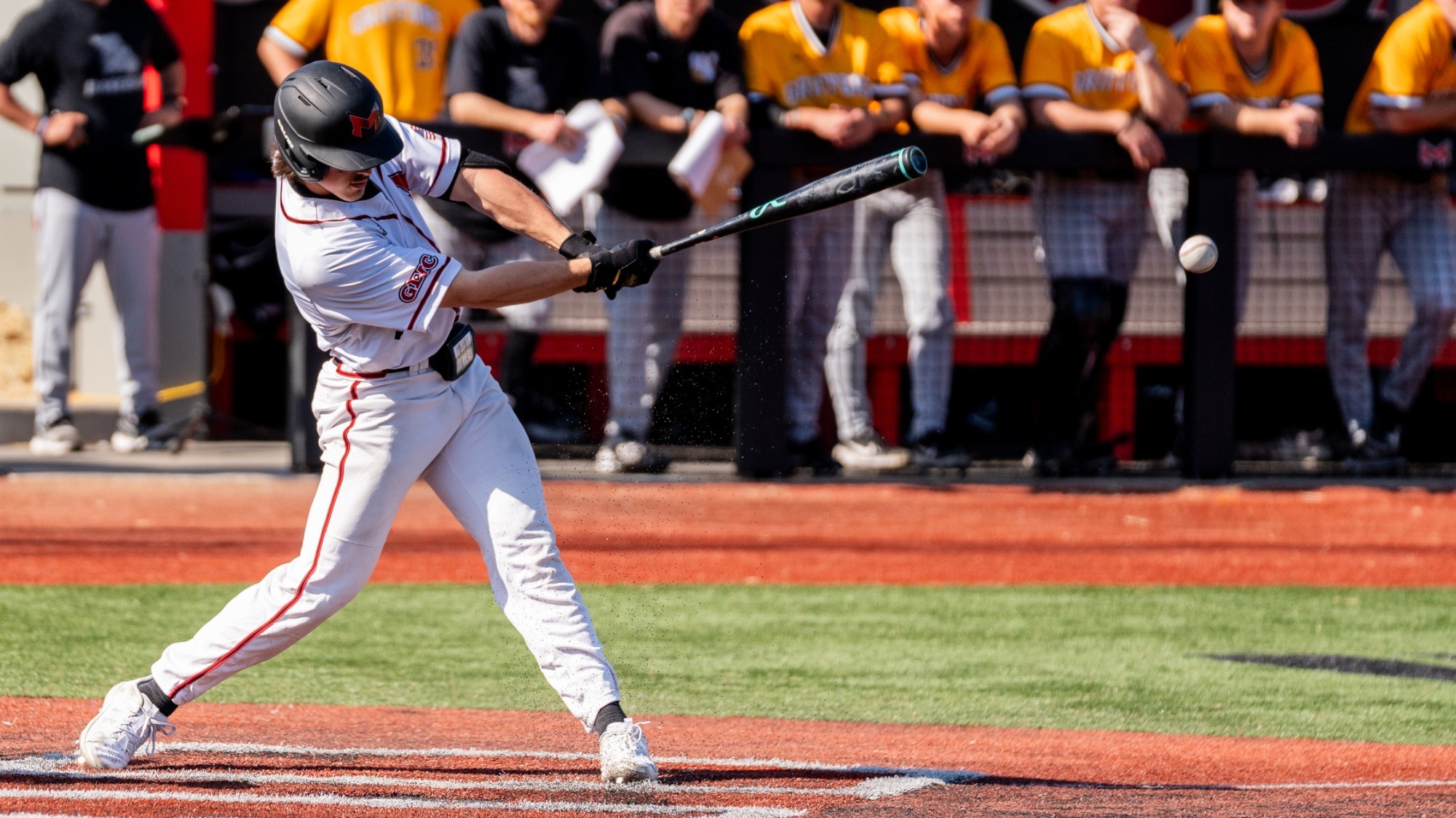 Steven Schneider hits the ball