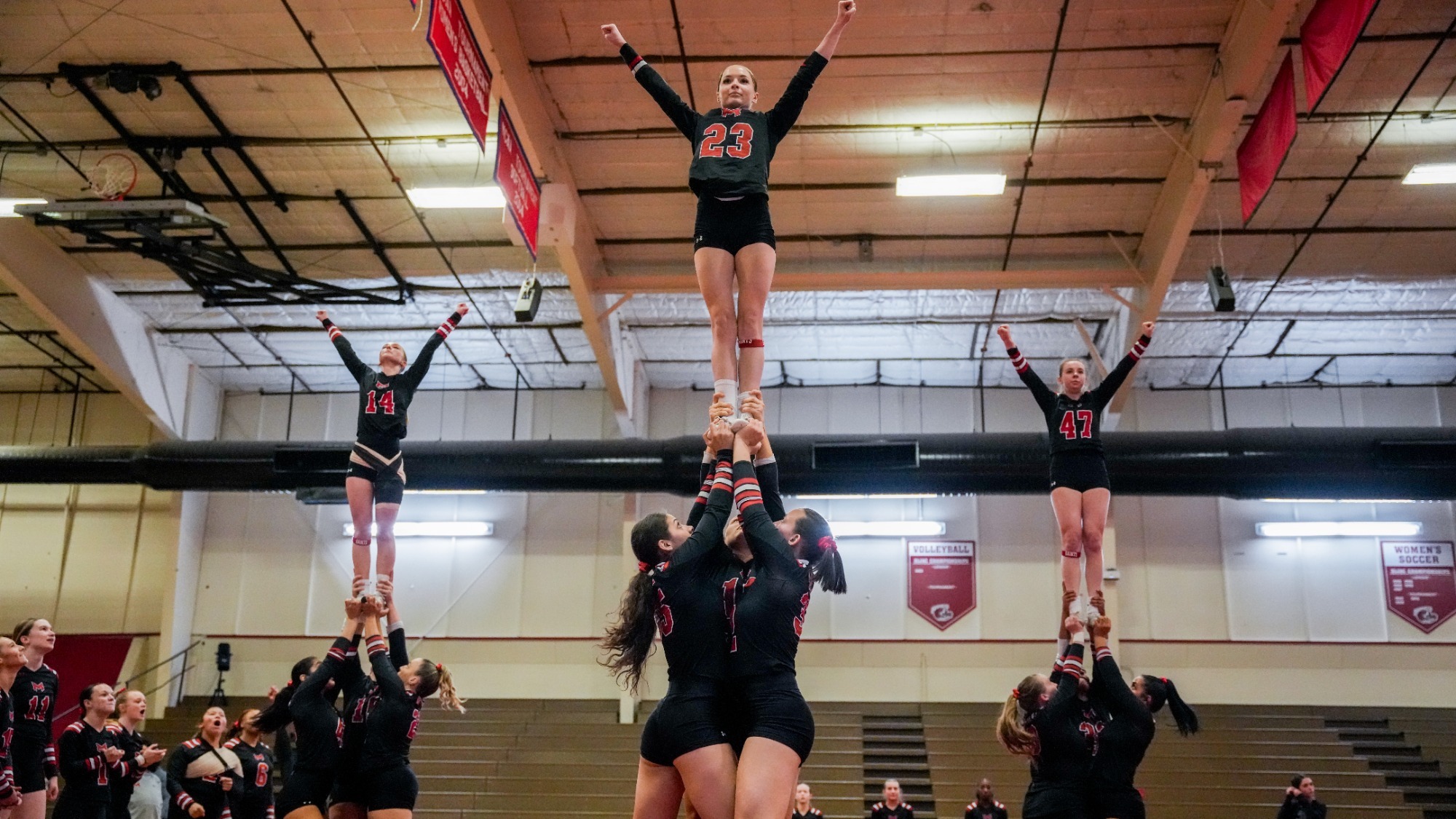 STUNT Partner STUNTS