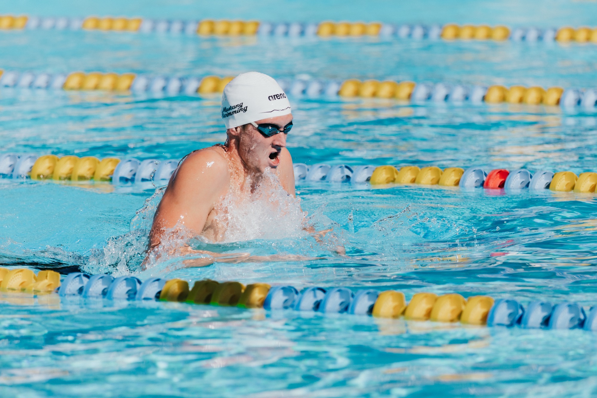2025-26 men's swimming