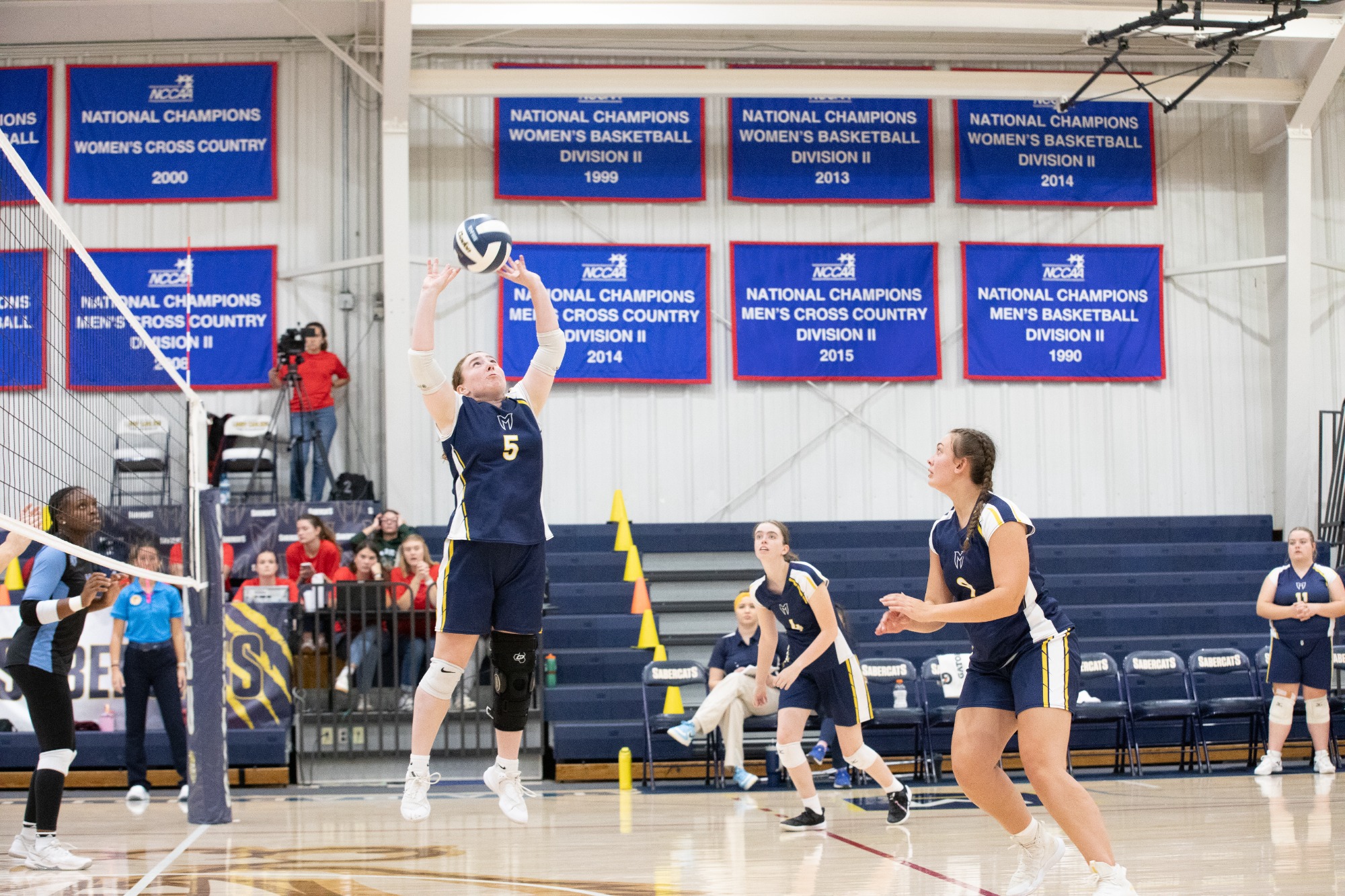 Photo Credit: Caitlin Francis