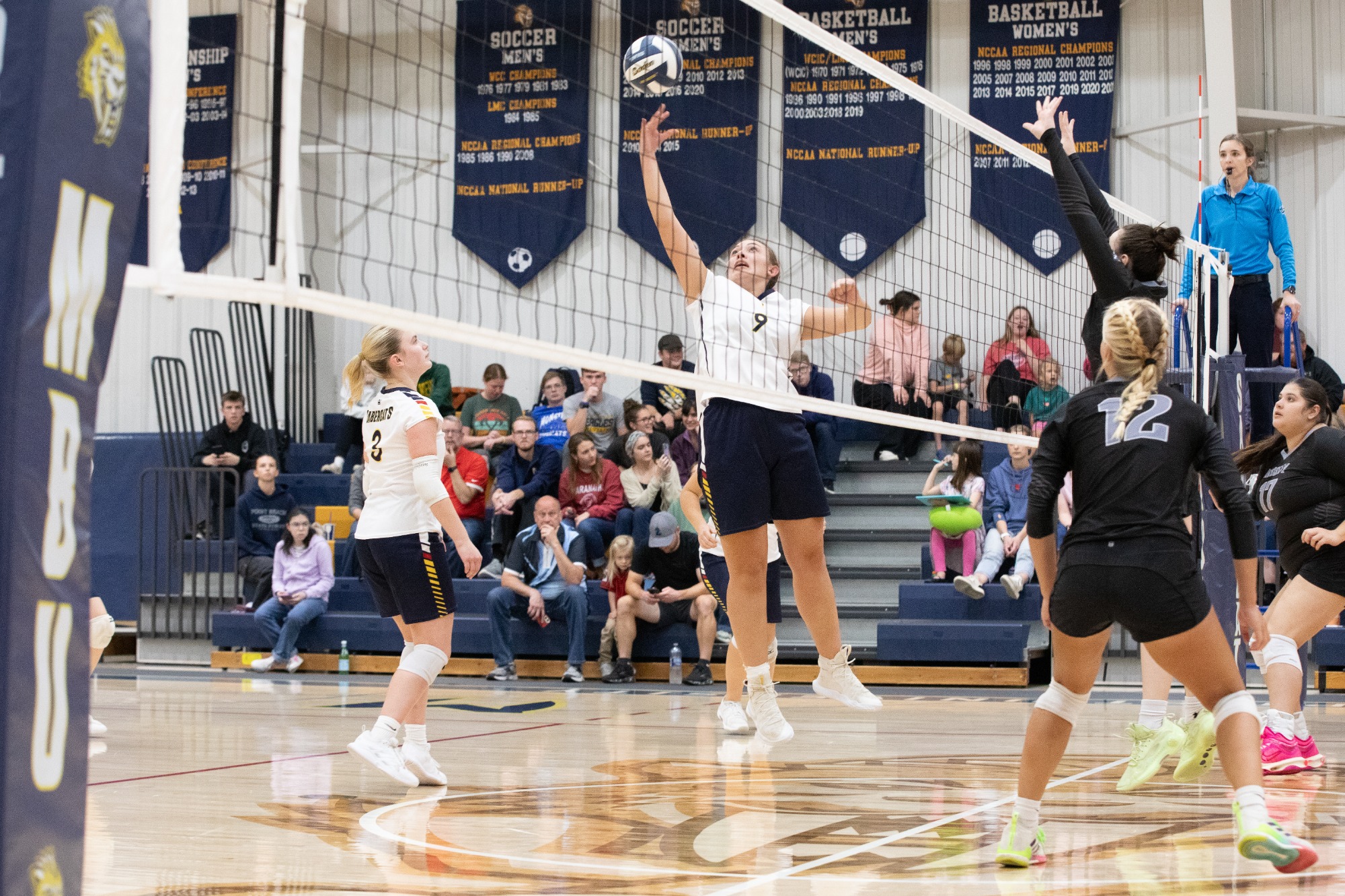 Photo Credit: Caitlin Francis