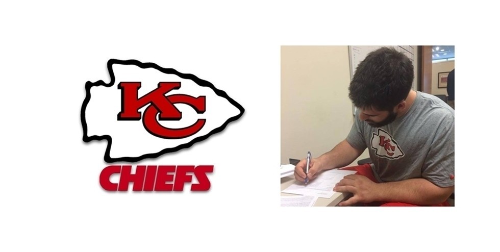 vector de logotipo de mcgill