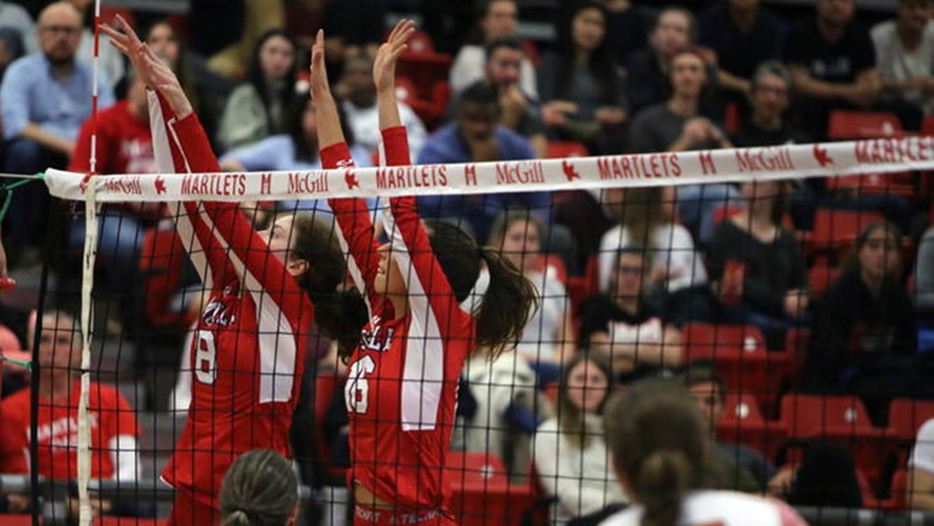 Rowan Fletcher Women's Volleyball McGill University Athletics