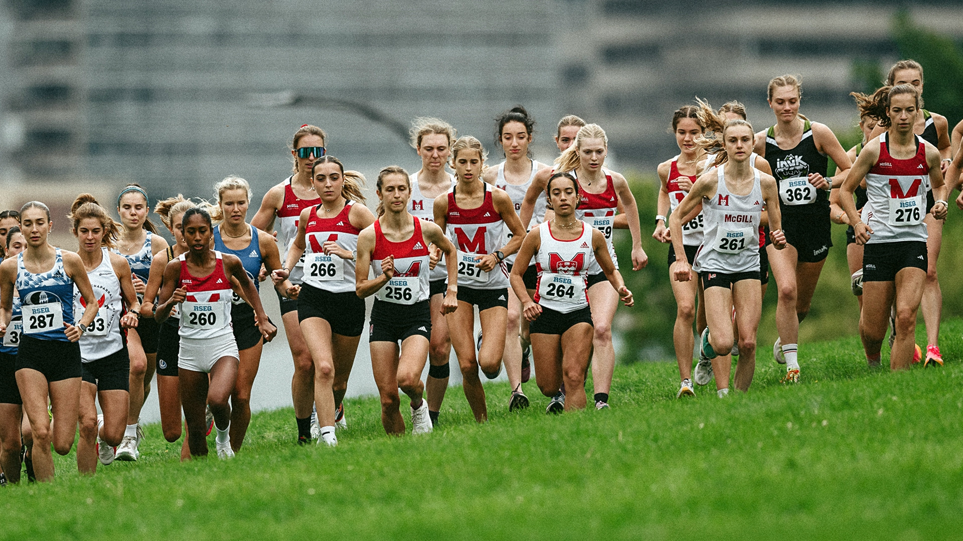 Race start of the 2024 McGill Cross-Country Open