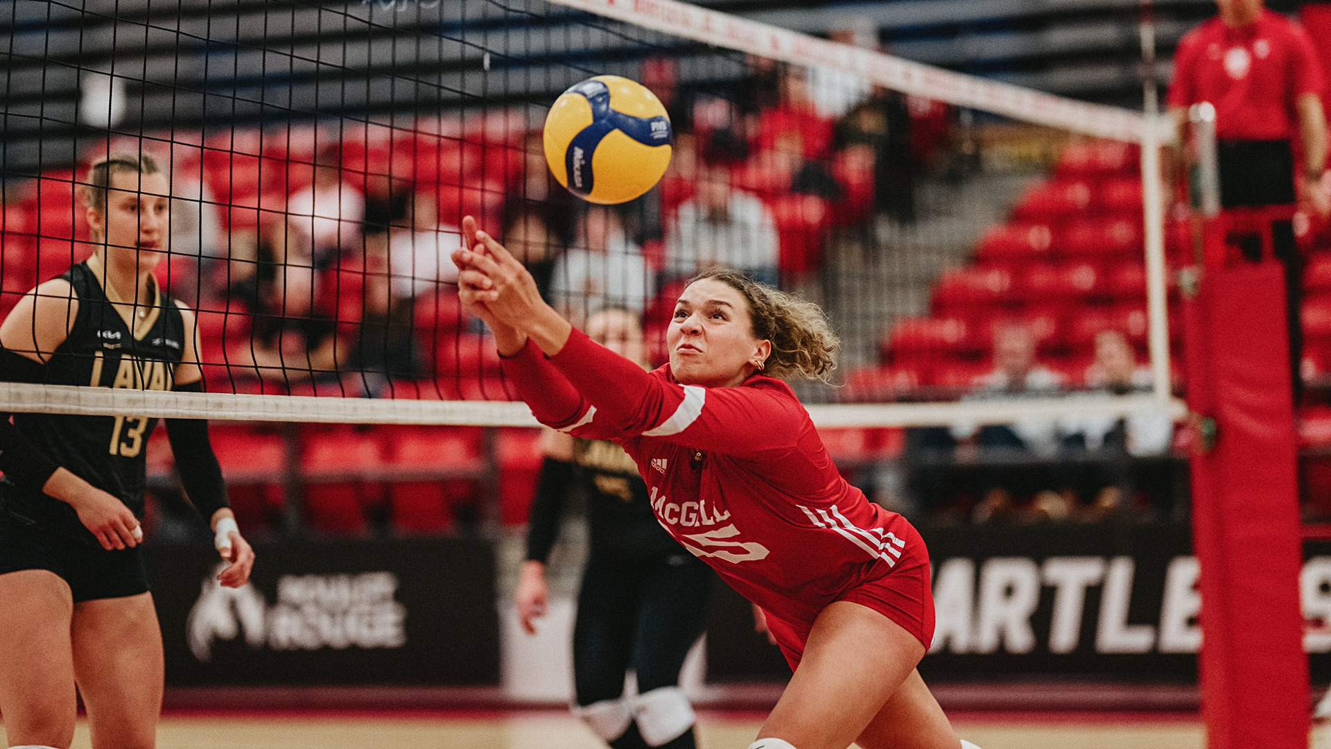 Setter Selima Guidara