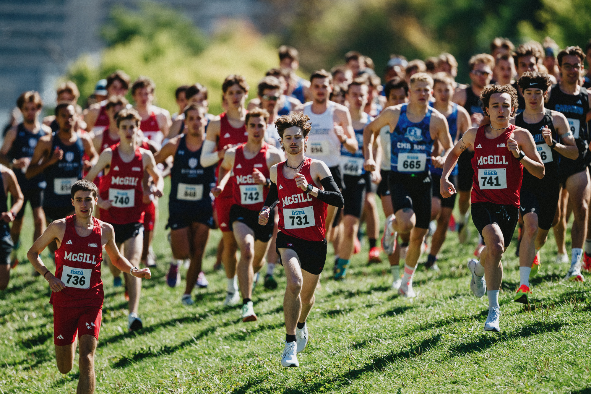 Start of the 2025 McGill Cross-Country Invitational