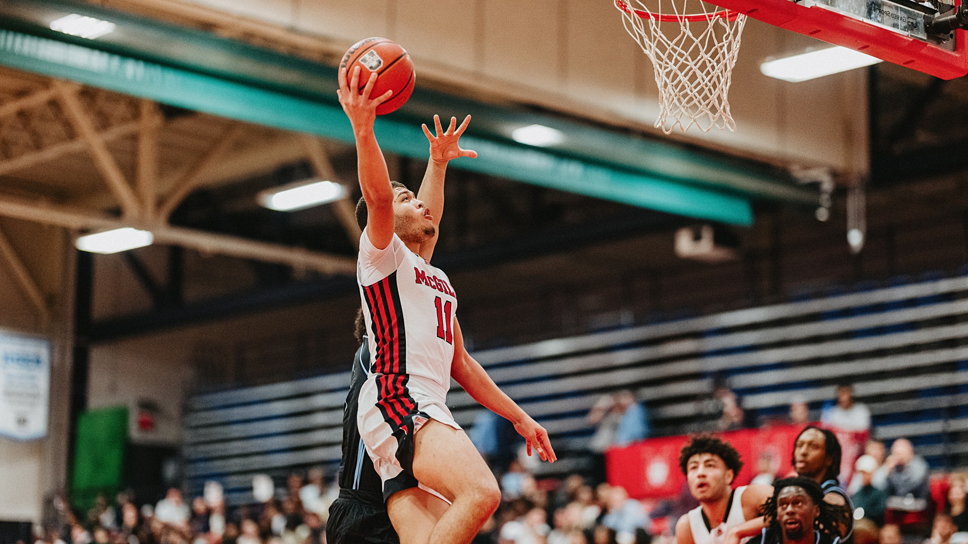 MONTREAL, CANADA - NOVEMBER 13: McGill Redbirds Basketball vs UQAM on November 13, 2025 in Montreal, QC, Canada. (Photo by Matt Garies / McGill Athletics)