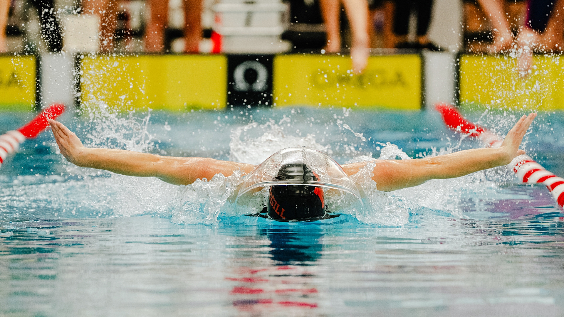 Photo of Martlets swimmer at second RSEQ University Cup meet of the season, in McGill's Memorial Pool on Oct. 24, 2026