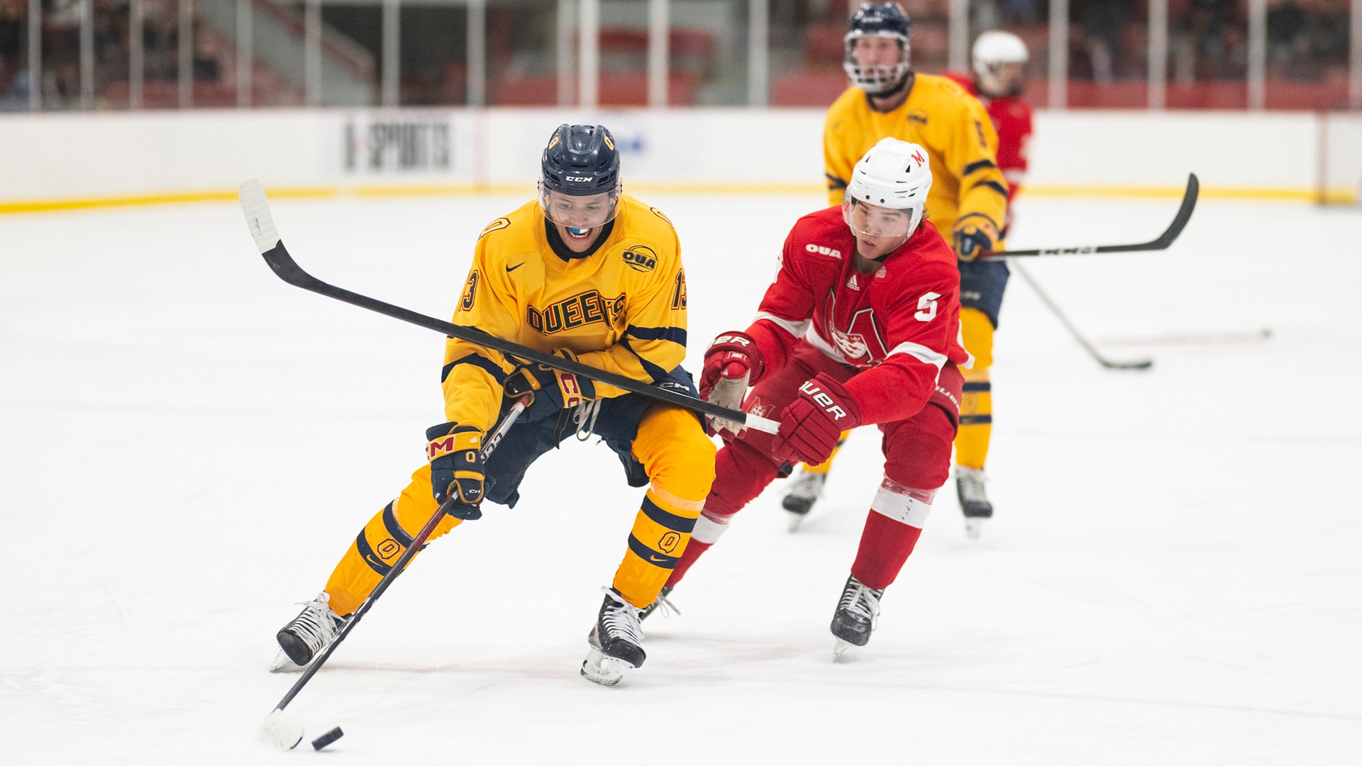 Queen's Samuel Marburg (L) tries to fend off McGill's Damen Boose (R)
