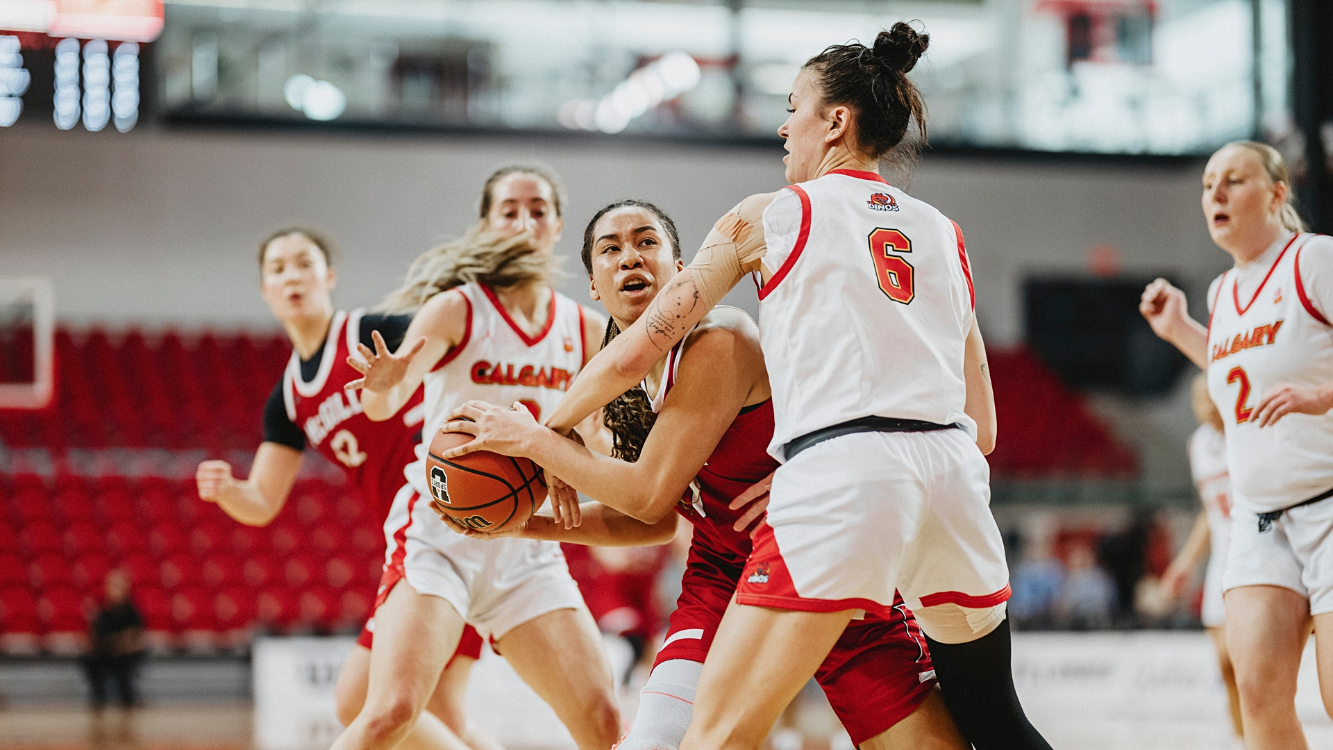 McGill's Emilia Diaz-Ruiz