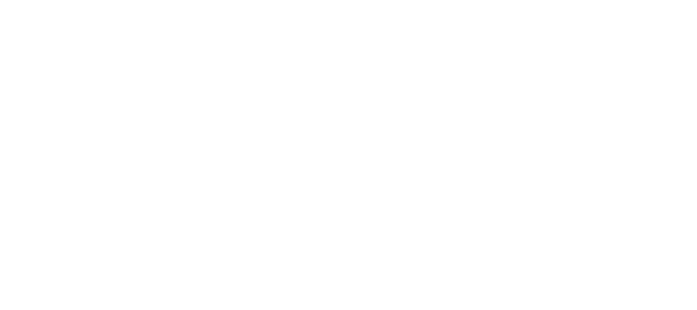 logo loader image
