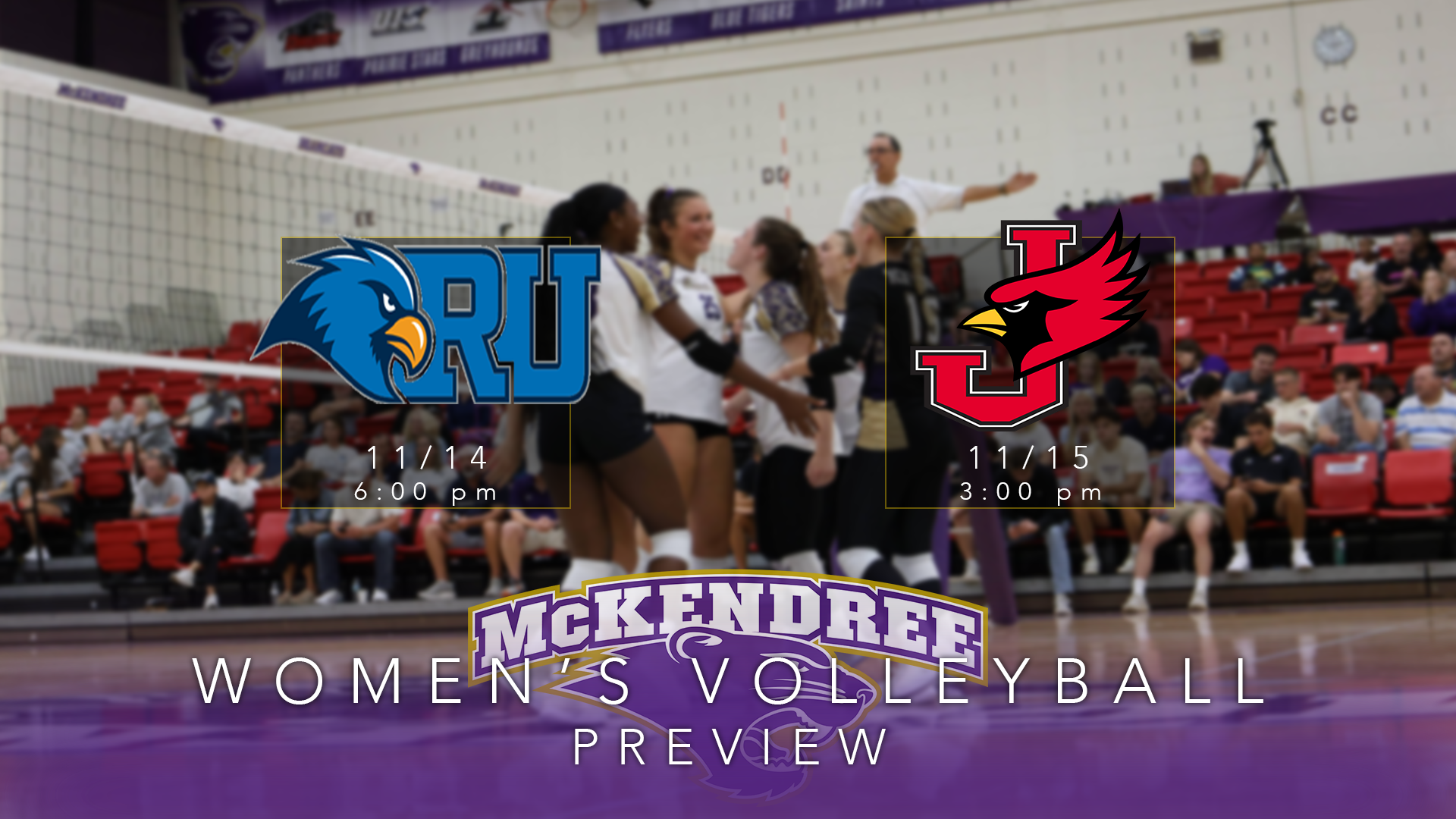 WVB Preview 11/14-15