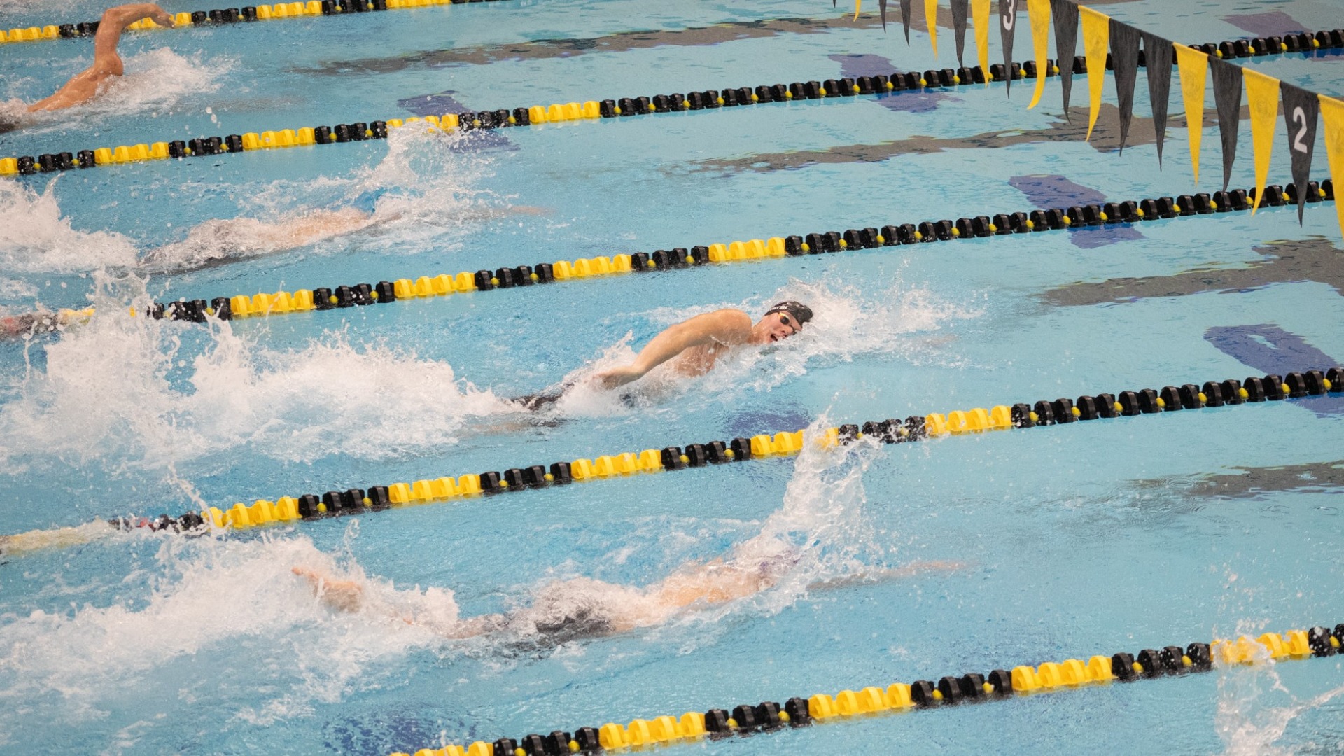 Gavrysh Records Second Fastest 200 Yard Freestyle in DII History 