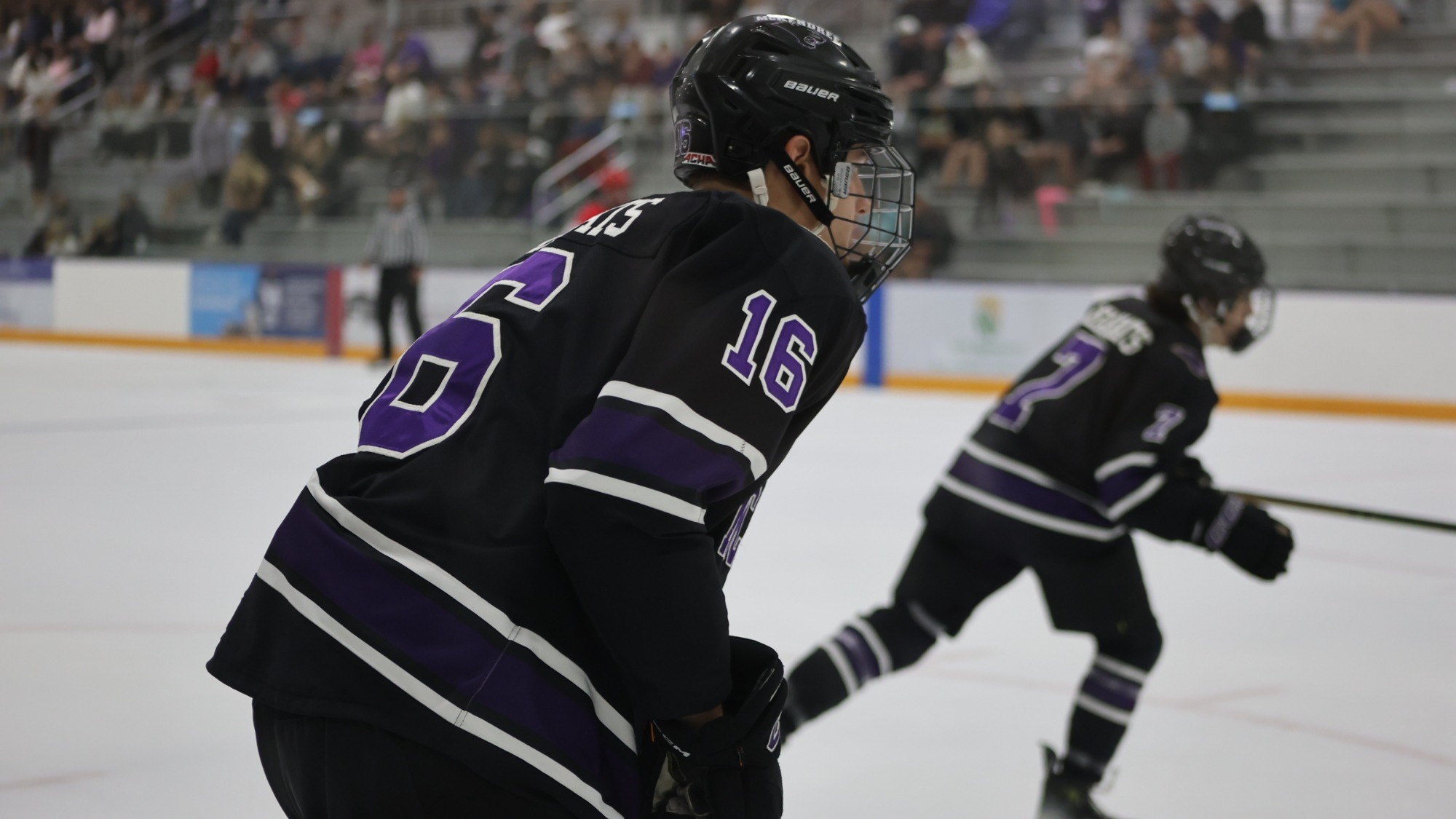 RosanskyMaryvilleM125