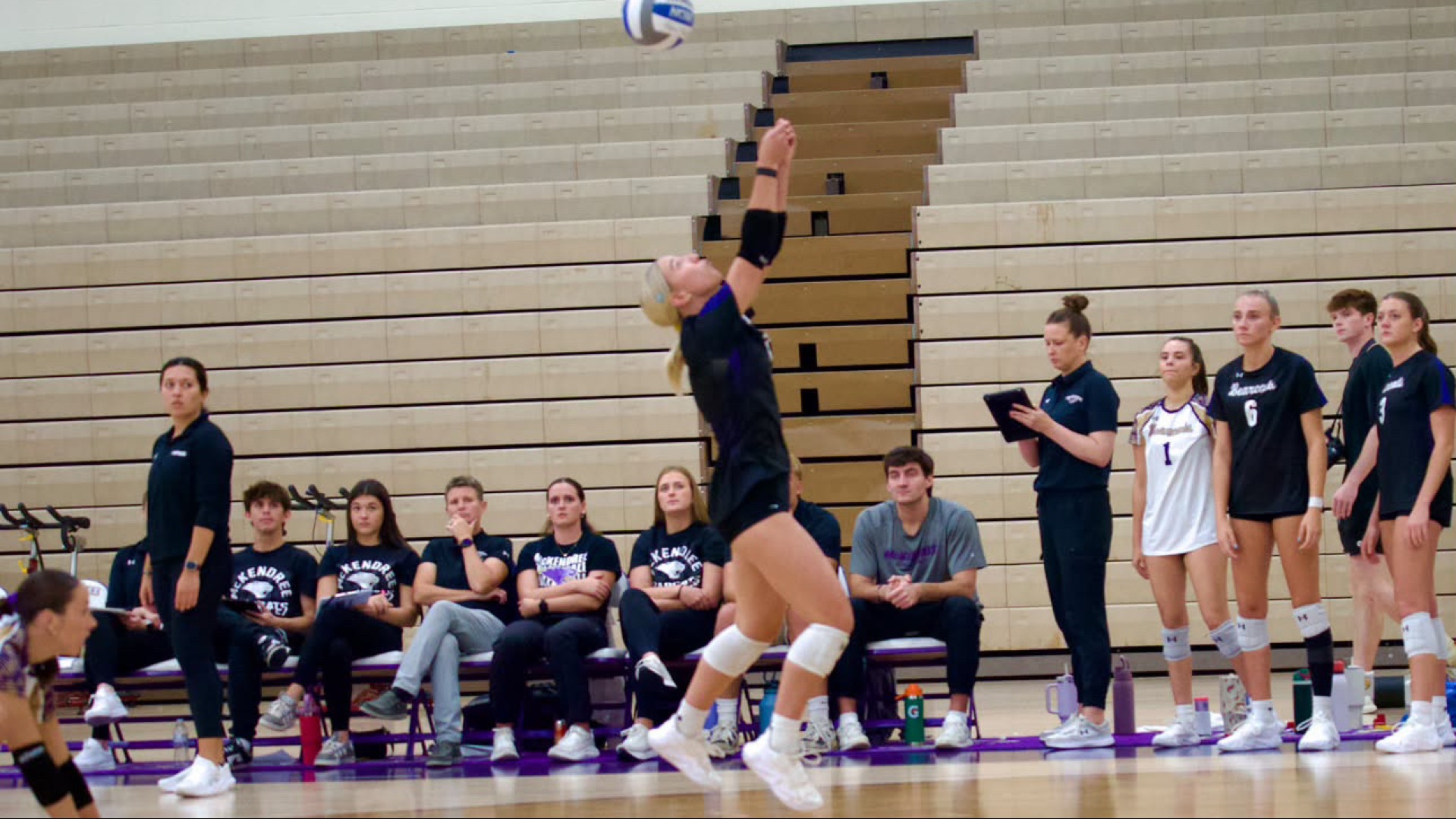 Women's Volleyball 