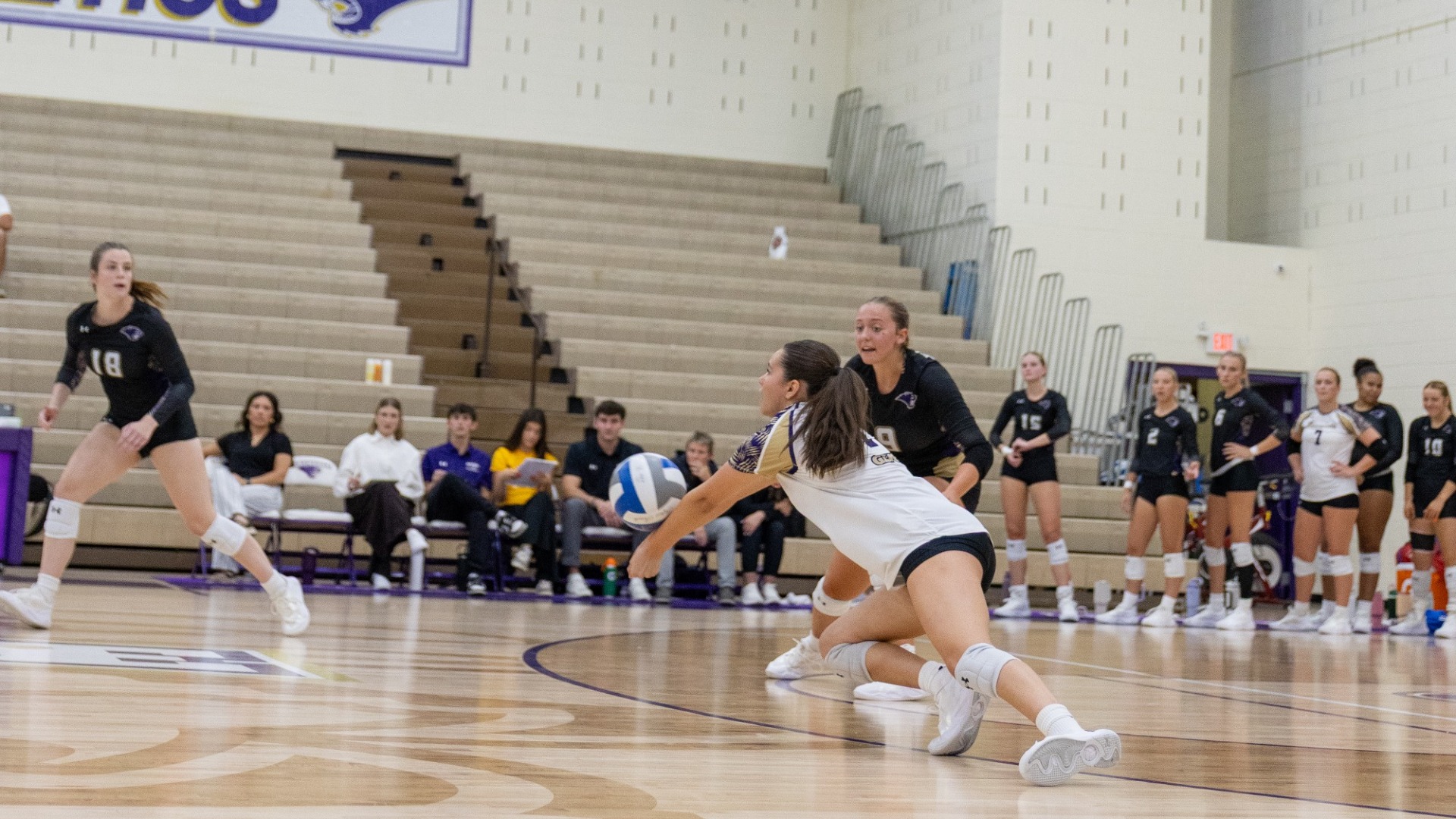 Women's Volleyball 