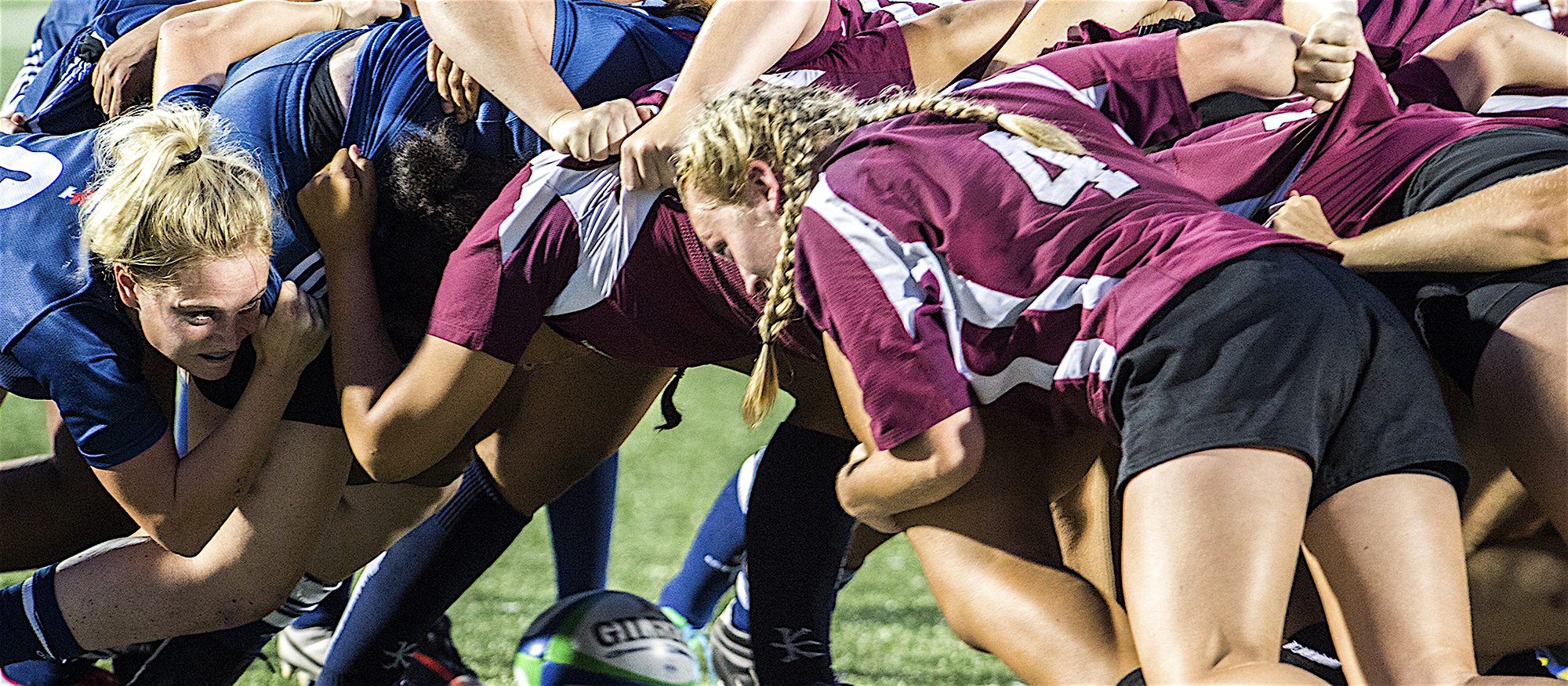 WRugby stock