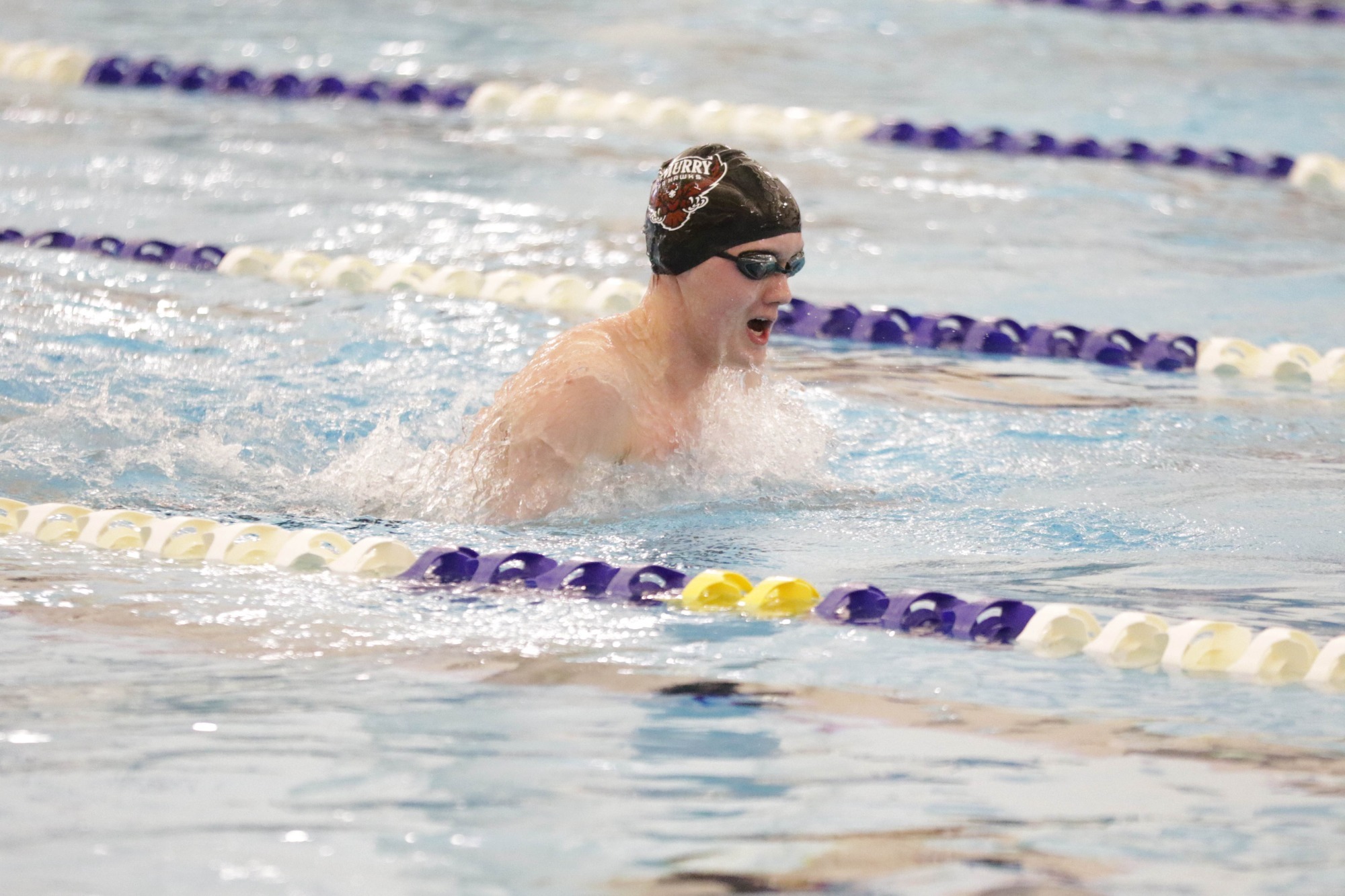 Mens Swim 2026 SCAC Champs day 1