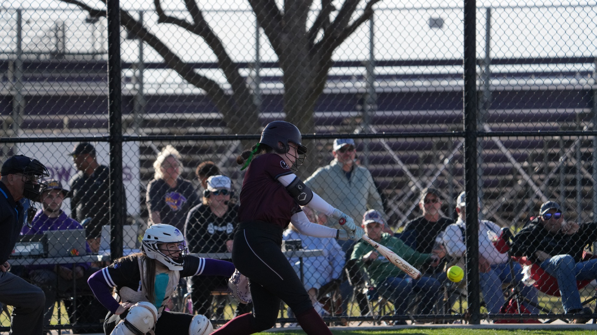 SB @ HSU R. Staehely