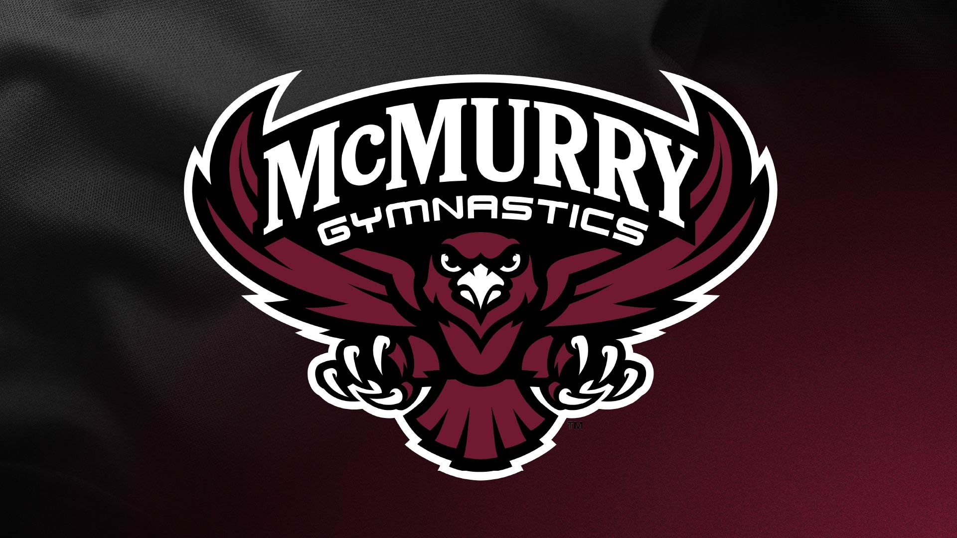 Gymnastics Article Image