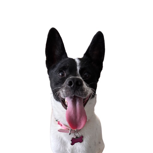 Bella Bean Gonzalez