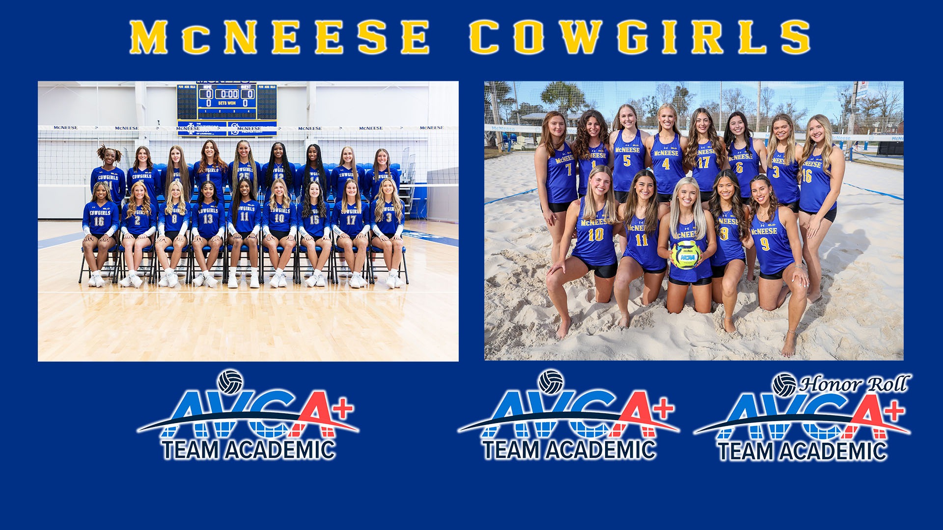 2024-25 AVCA Team Academic Award