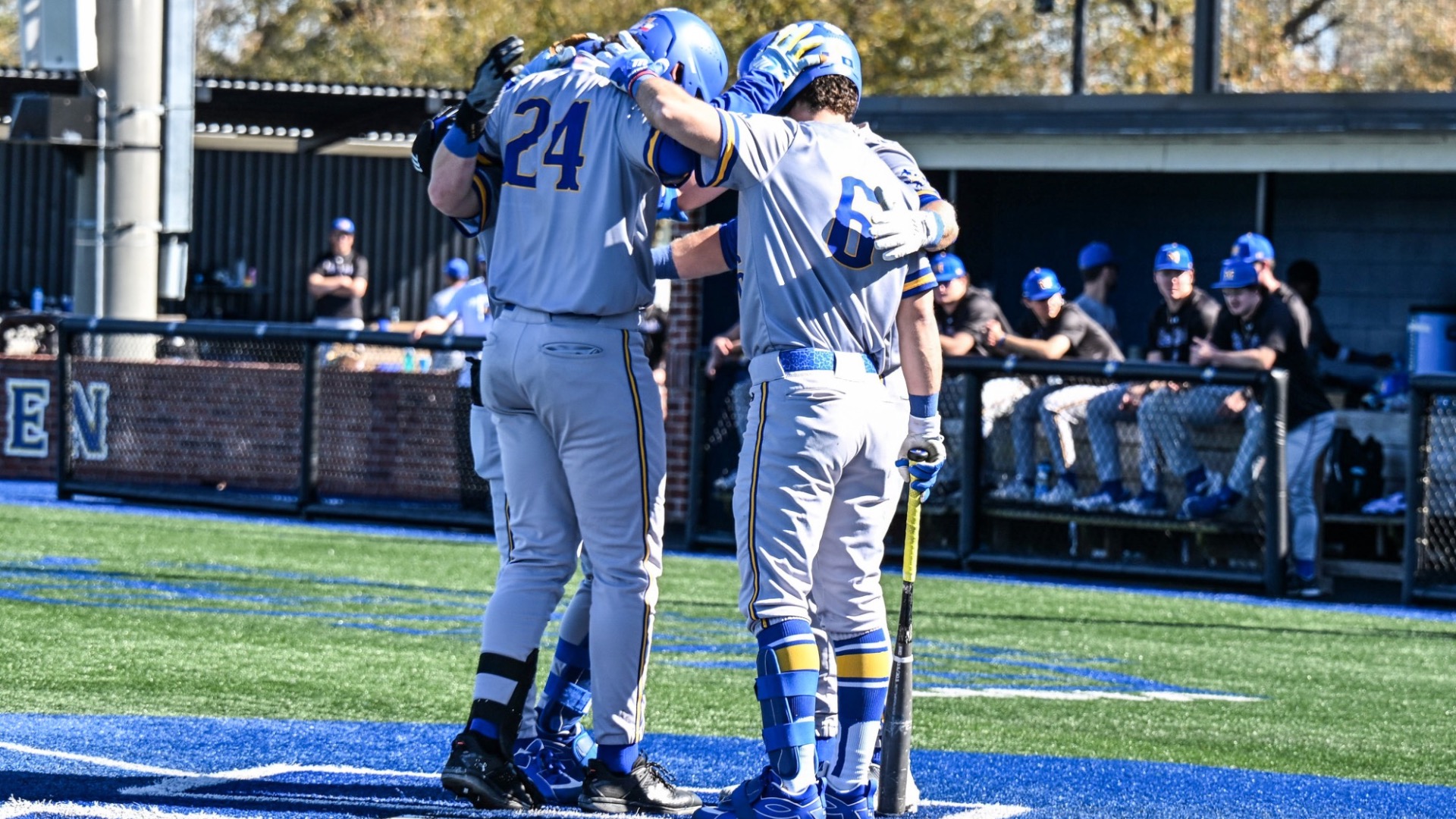 HR Celebration at the plate 