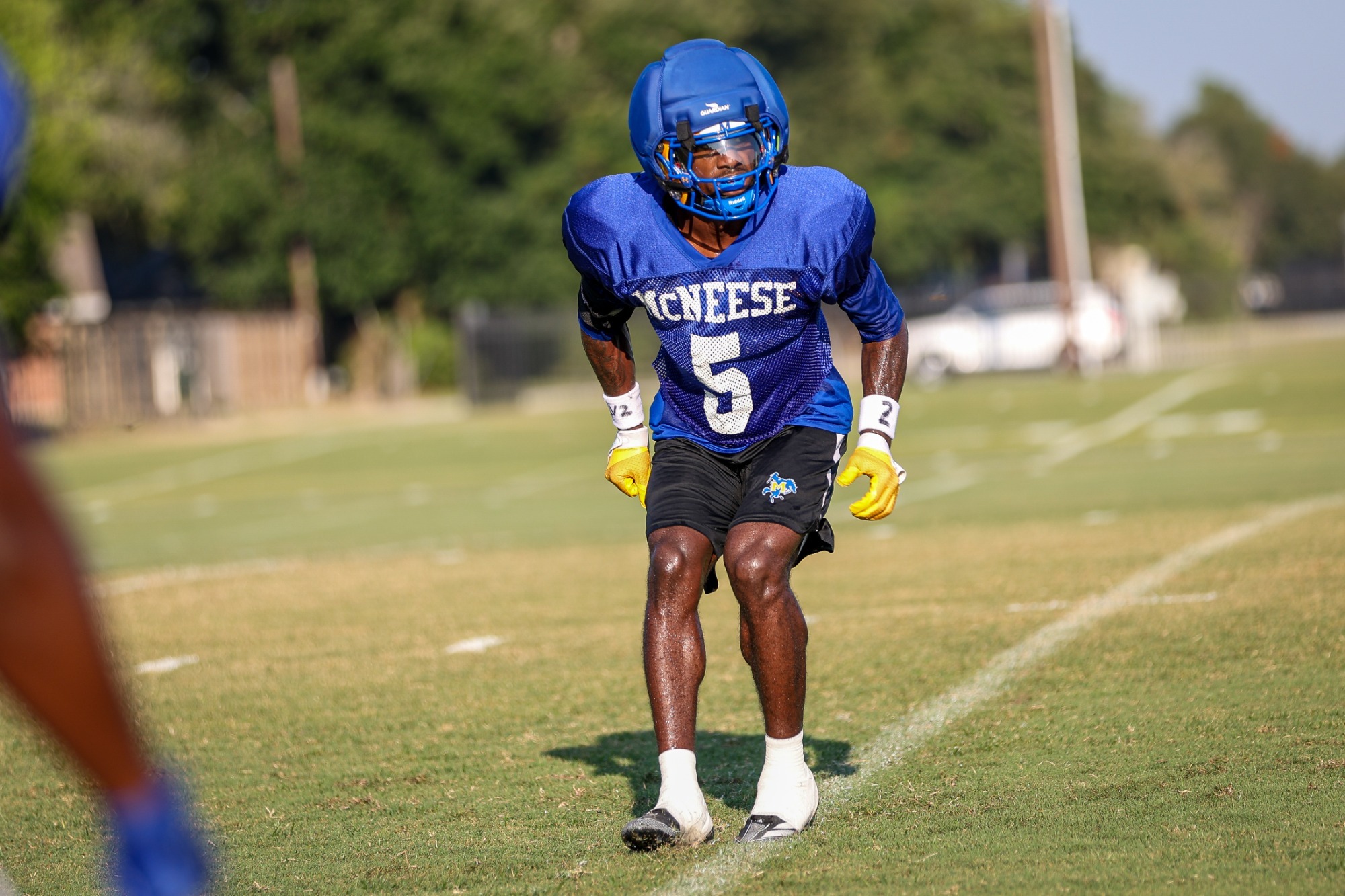 Javon Davis