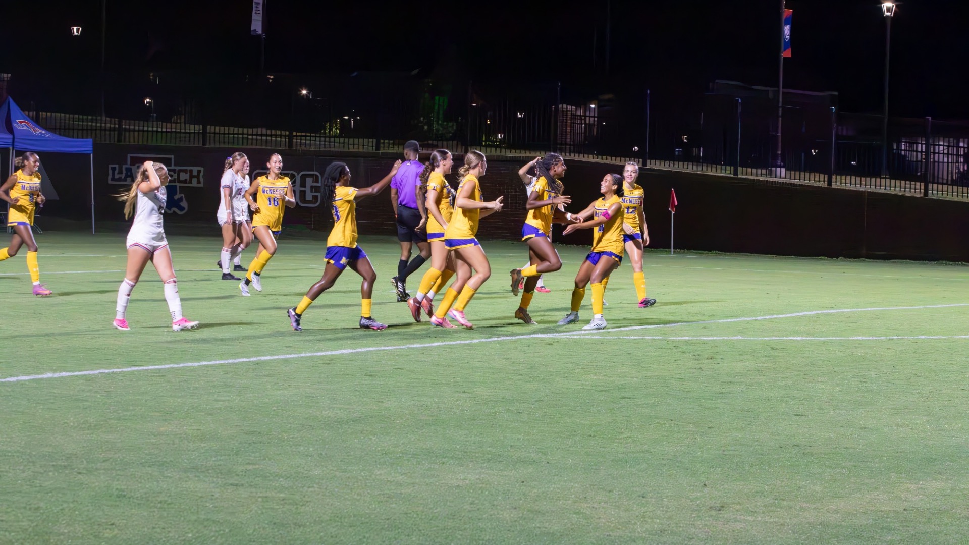 Goal Celebration 