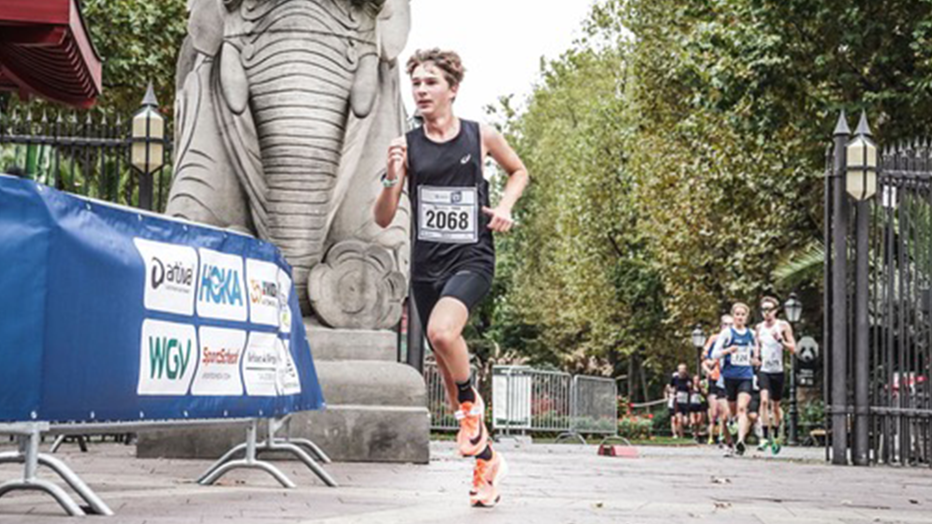 New Oak Cross Country