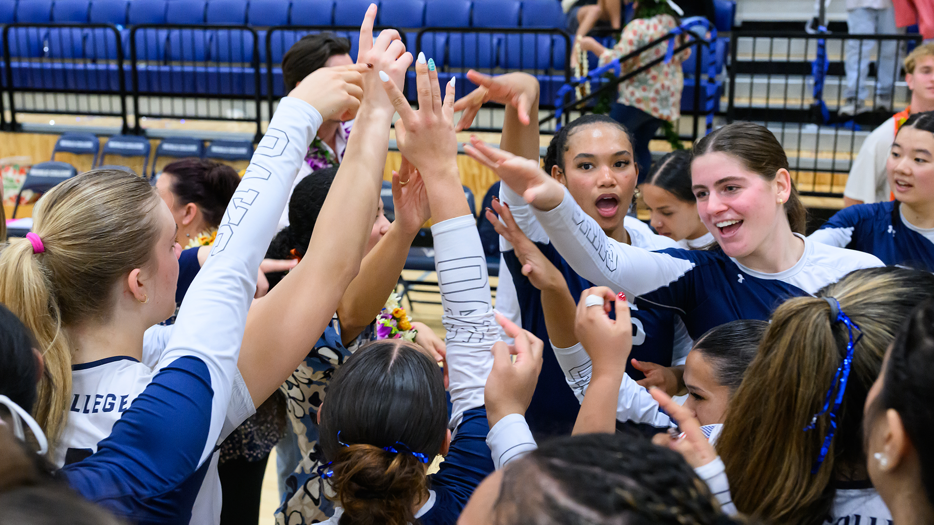Volleyball Team