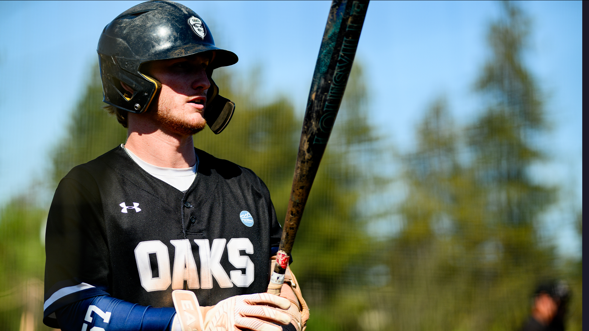 Justin Flannery Backlands Big Sticks
