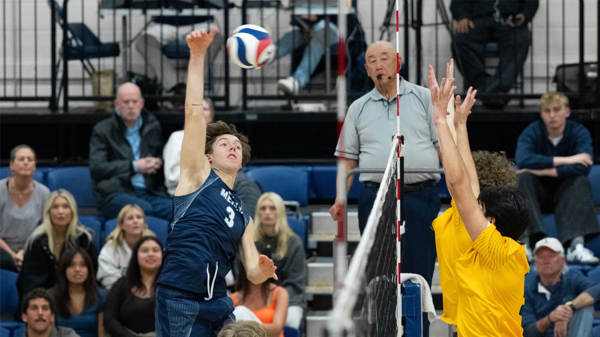 mvb v. uc santa cruz