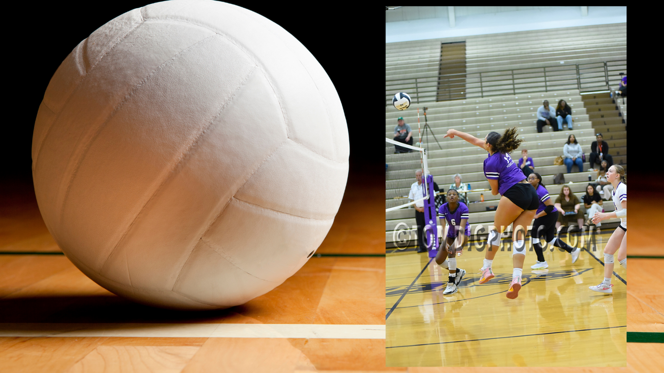 Volleyball falls short to Lake Central in 3 sets