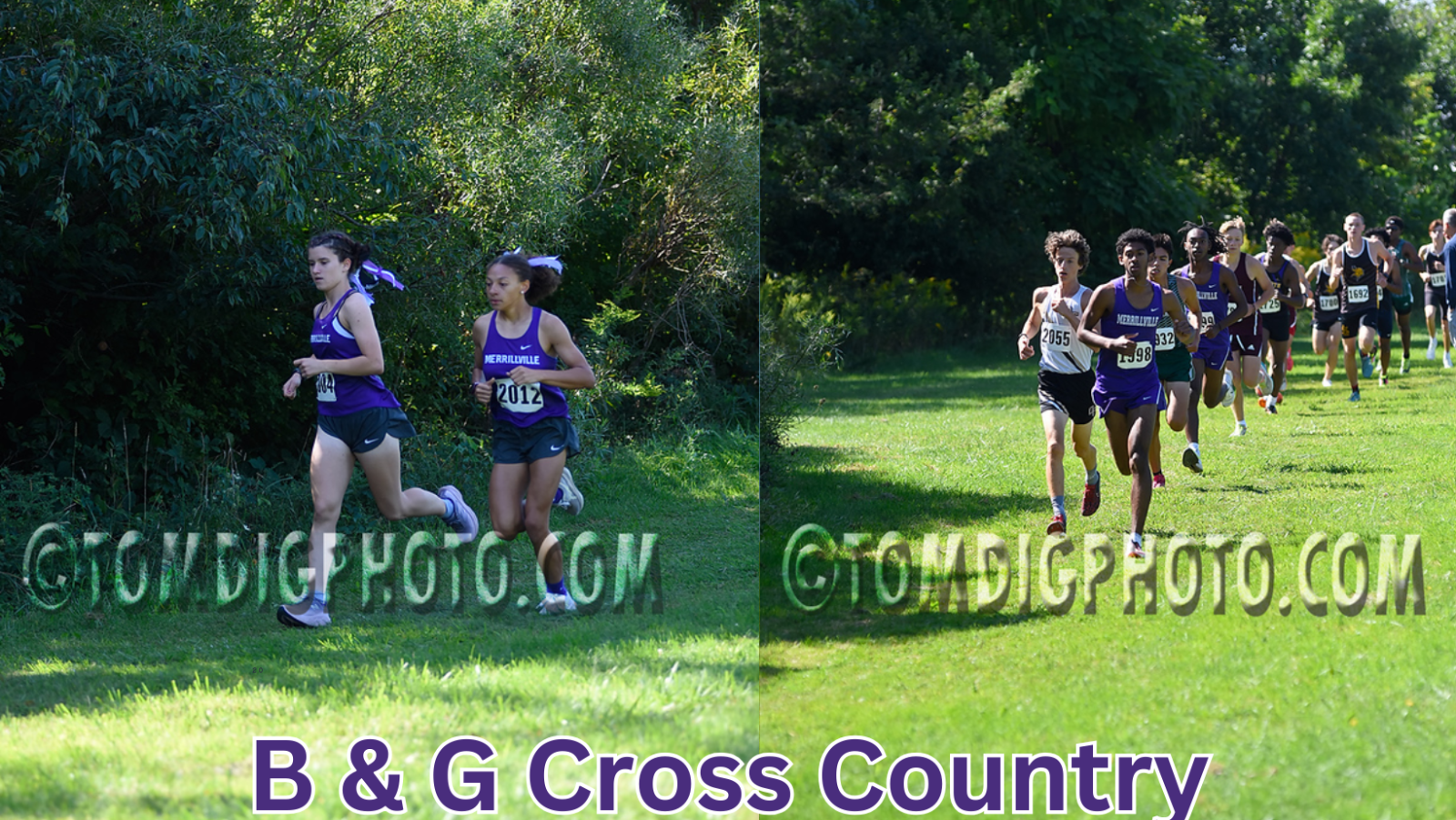 B&GXC