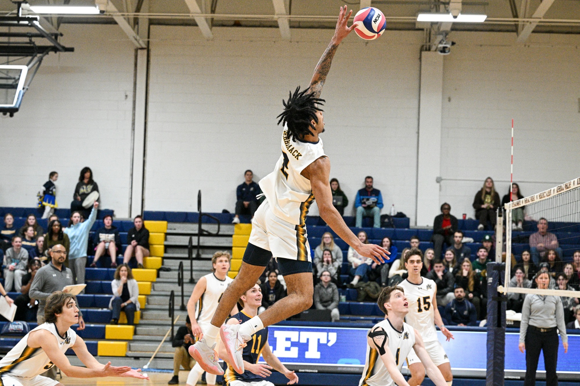 Men's Volleyball Captures Thrilling Win Against Queens University of