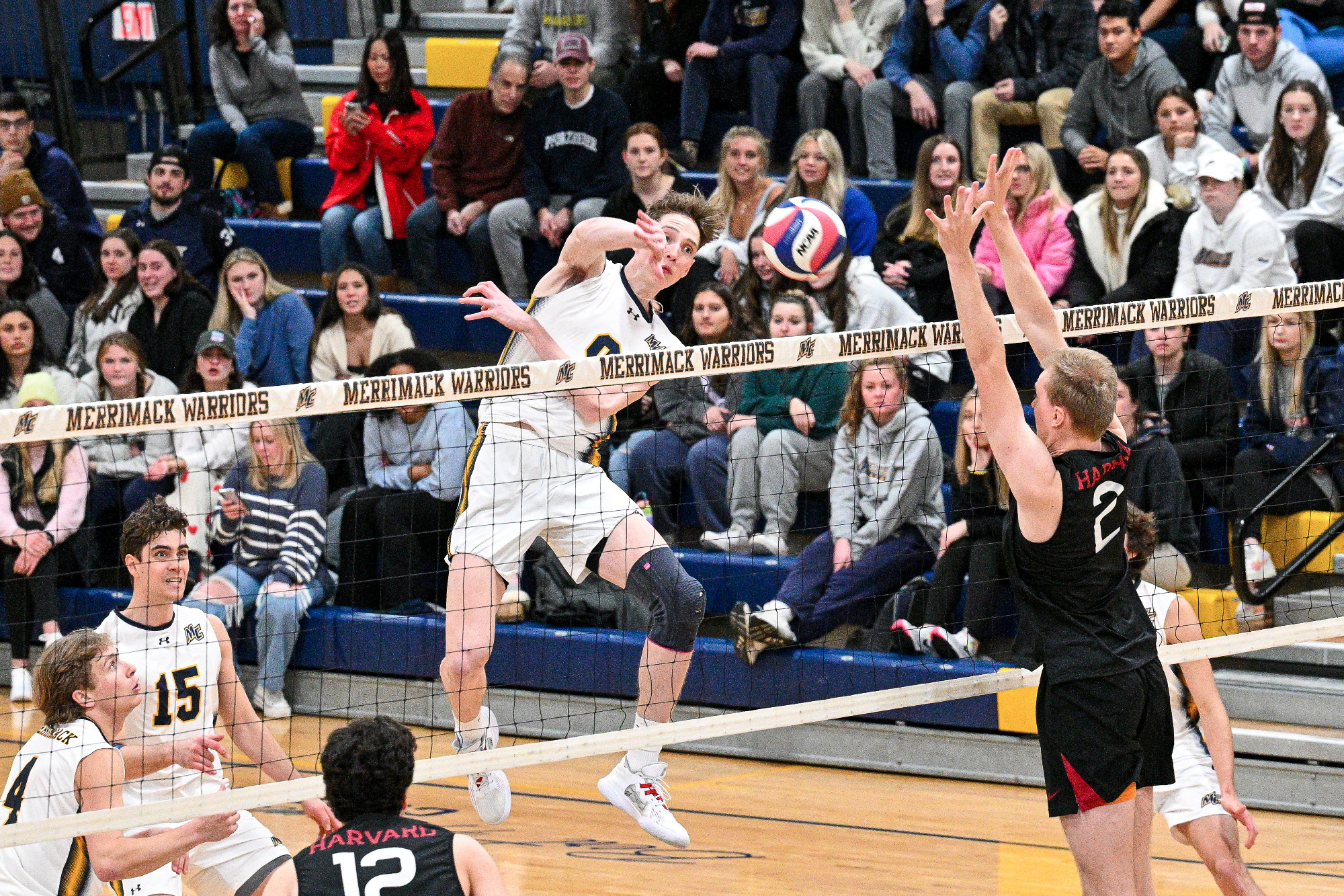 Men's Volleyball Wins Fourth Straight in Victory Over American