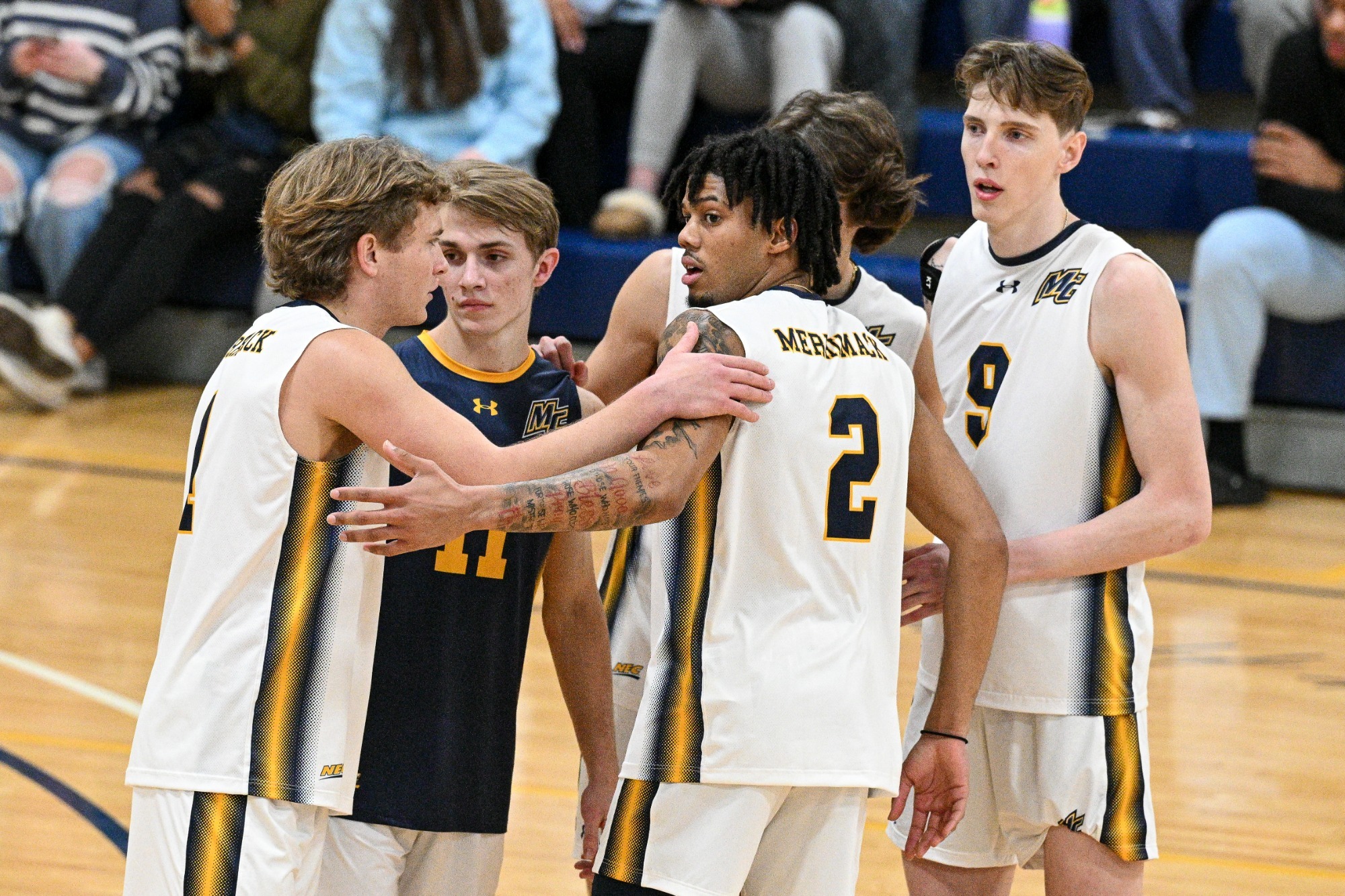 Men's Volleyball Defeated by Harvard Merrimack College Athletics